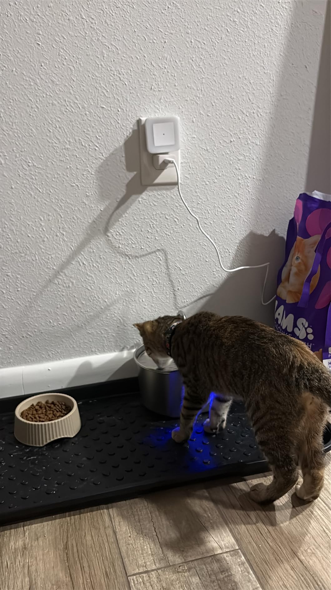Cat Water Fountain Stainless Steel: 73oz/2.2L Cat Fountain for Drinking- Pet Water Fountain Inside - Automatic Dog Watering Dispenser Bowl - Pet Feeding & Watering Supplies customer photo 2