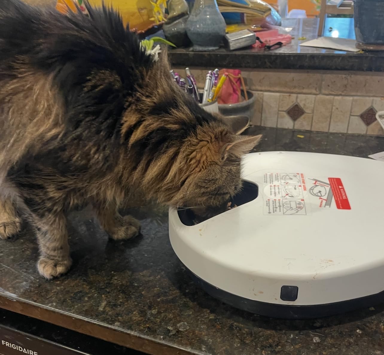 UBPET Automatic Cat Feeder Wet Food, 2025 Upgraded Refrigerated Auto Cat Feeder with Semiconductor Cooling, 4 Days Freshness 5 Meals, Pet Food Dispenser for Cats and Small Dogs, Easy to Clean customer photo 1