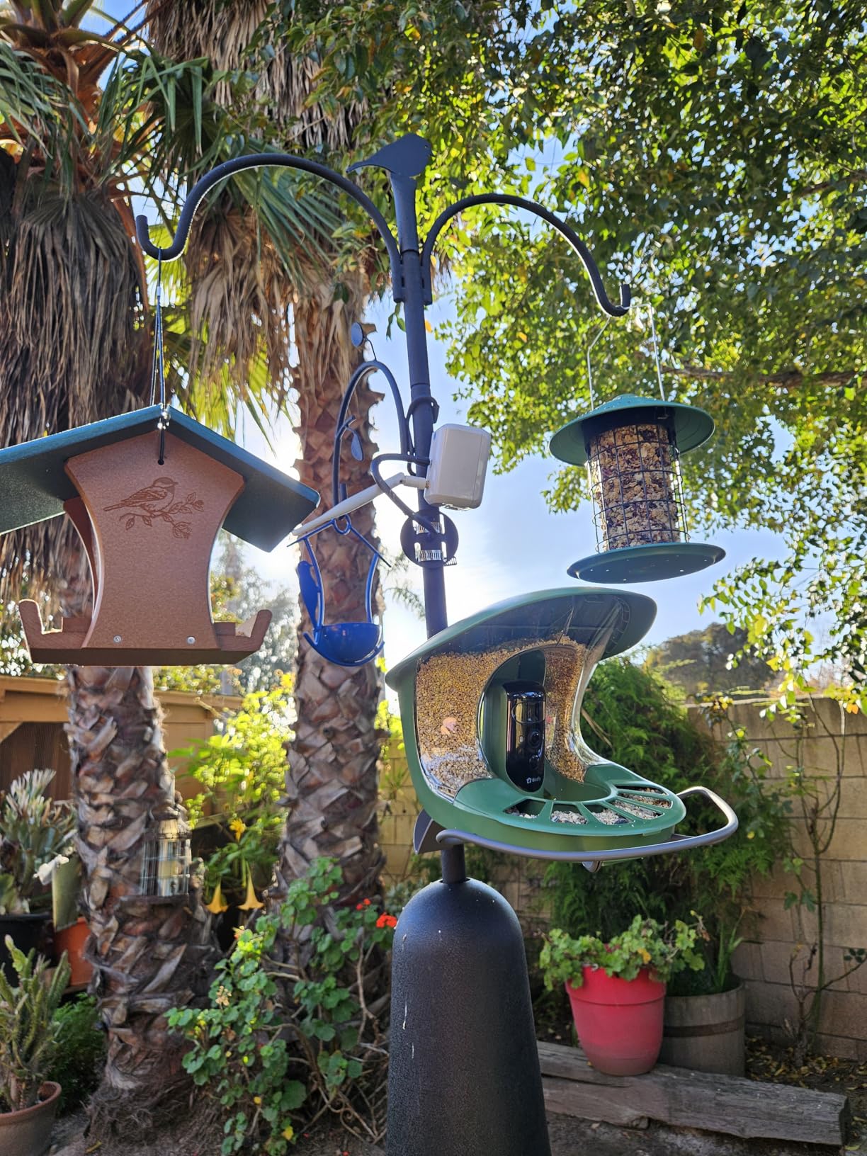 Birdfy 2 Smart Bird Feeder with Camera, AI Identifies Bird Species, Dual-Lens 2K Camera for Live Streaming & Close-Up Photos, Solar-Powered Backyard Birdwatching Gift customer photo 1