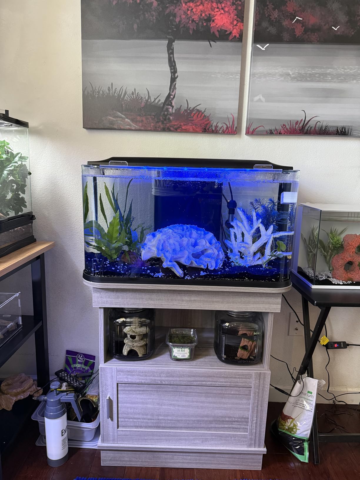 GloFish Glass Aquarium Kit, 20 Gallons, Includes Premium Blue LED Light Stick & Integrated Filtration, Perfect for Beginners or Seasoned Hobbyists, Seamless, Curved Design customer photo 1