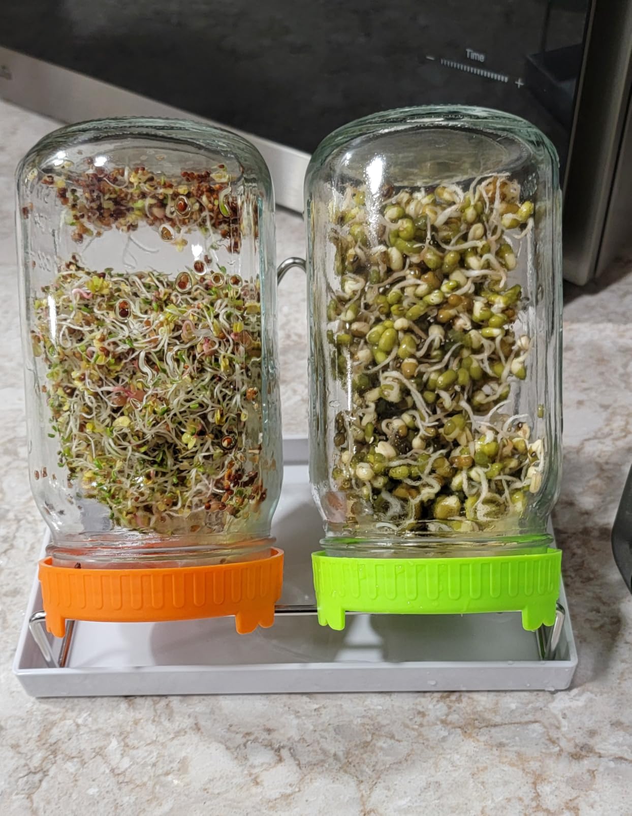 Seed Sprouting Kit with Mung Beans 80g, 2 Large Wide Mouth Mason Jars with Sprout Lids, Blackout Sleeves, Drain Tray, Stainless Steel Stand, Sprouts Growing Kit for Growing Bean Alfalfa Sprout Seeds customer photo 1