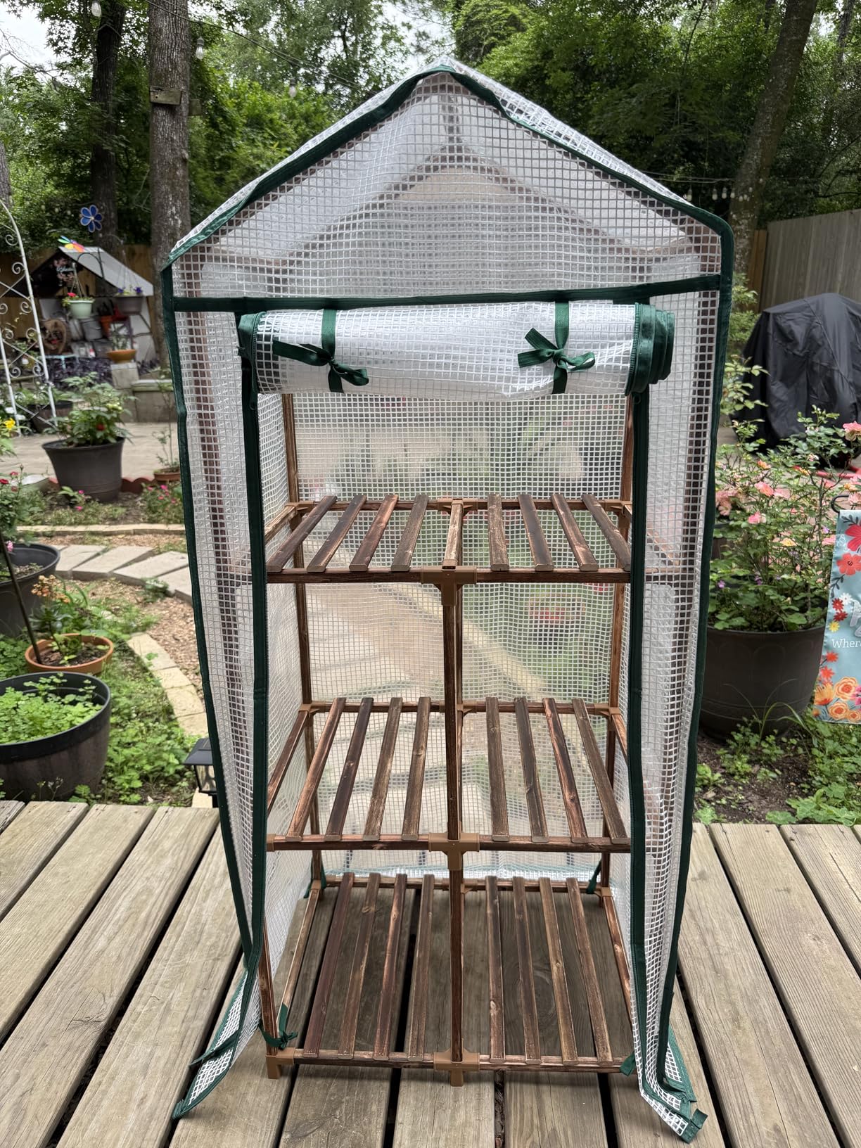 Bamworld 23 x 17 x 54-Inch Mini Greenhouses for Outdoors Portable Green House with PE Cover Sturdy Eucalyptus Wood Frame Small Greenhouse for Winter Plant Frost Protection Plant Garden Hot House customer photo 1