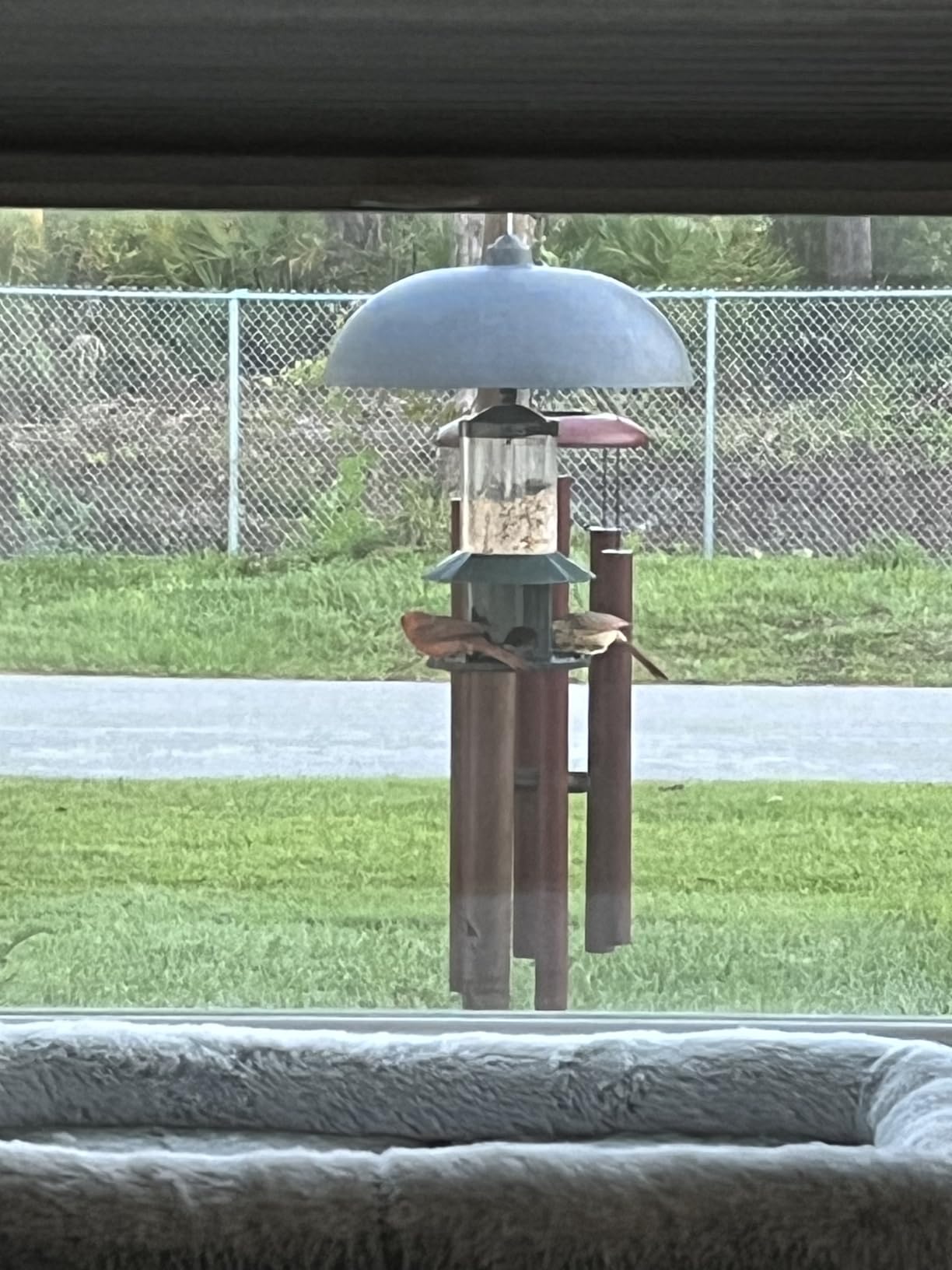 Squirrel Proof Bird Feeder - 360 Degree Feeding Perch Tray for Outdoor Hanging Wild Bird Seeds, Dark Green customer photo 2