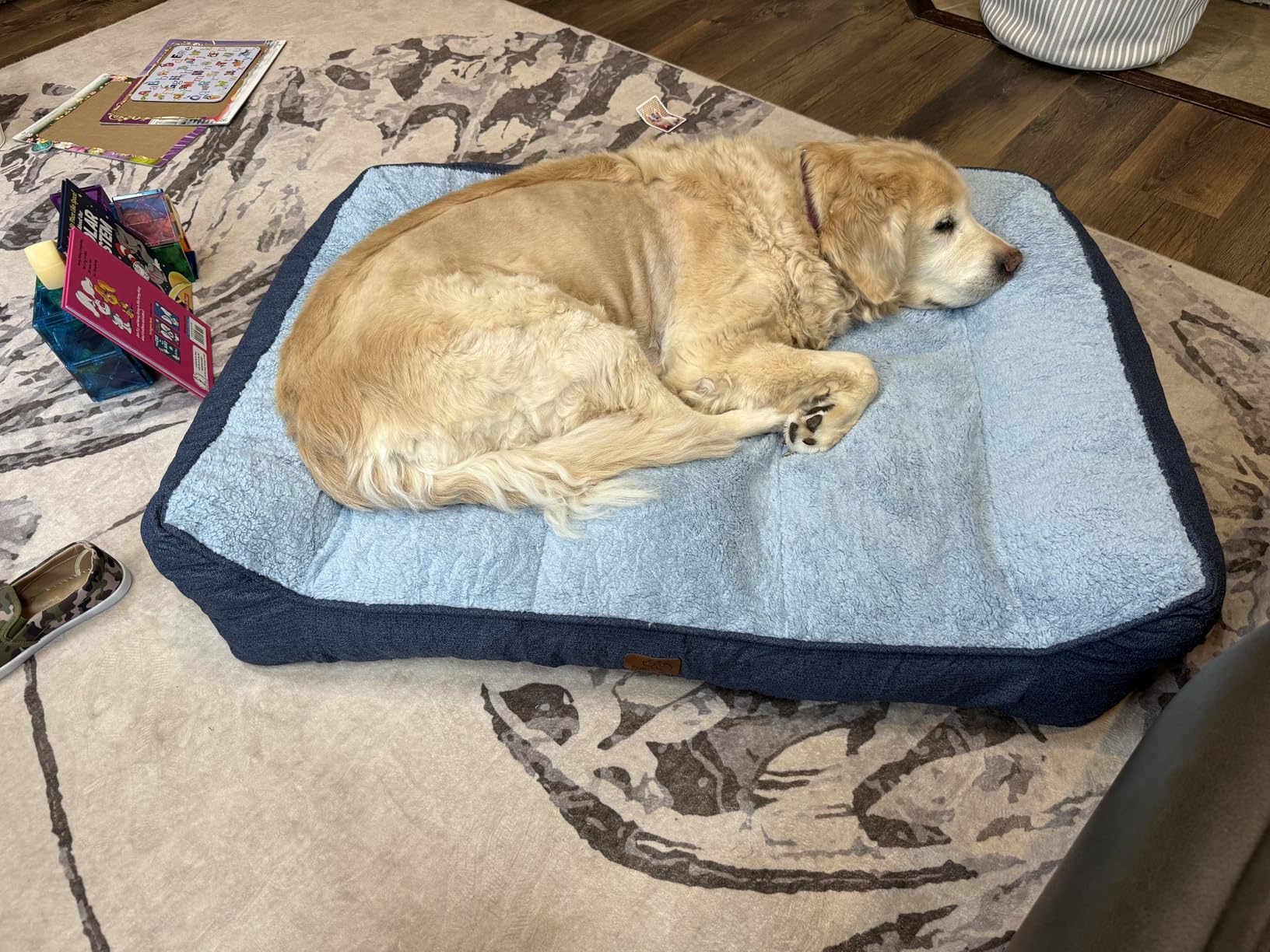 Bedsure SupportMax XL Pro Orthopedic Dog Beds Large Sized Dog - Extra Thick Supportive Dogs Couch with Waterproof Washable Cover, Extra Large Comfort Pet Sofa with Sherpa & Nonskid Bottom, Grey, 45