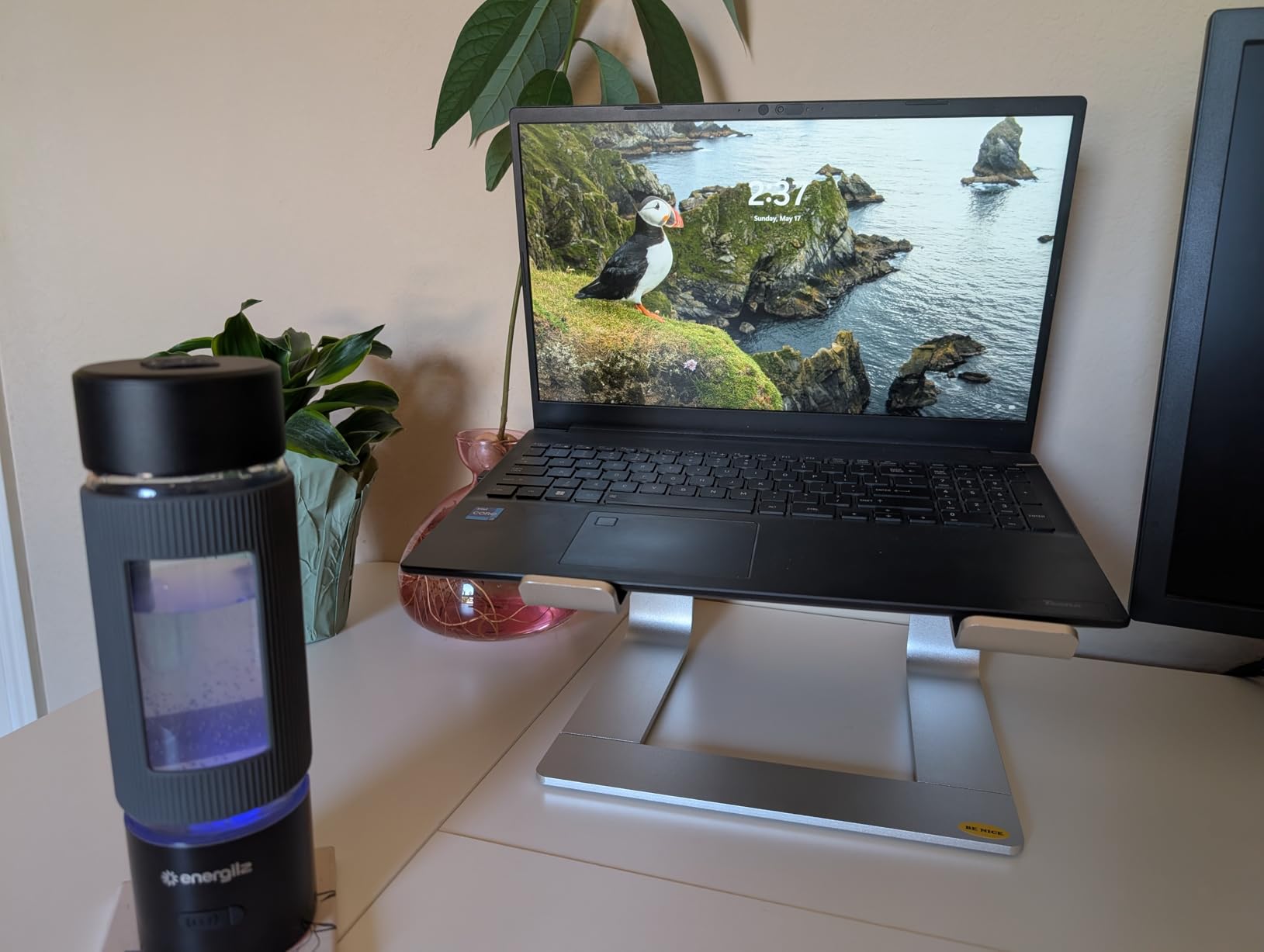 Hydrogen Water Bottle | 16.2 oz (480 ml) Hydrogen Water Generator | 6000 PPB Hydrogenator Machine | SPE/PEM Ionizer Generator (Silver) customer photo 1