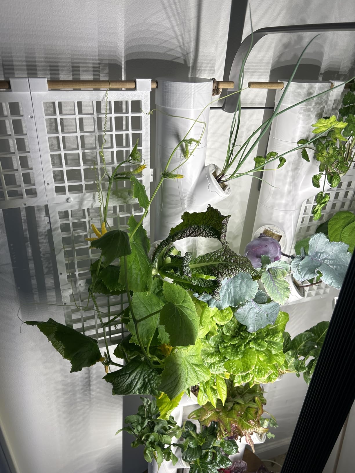 Gardyn Studio 1 Vertical Hydroponics Growing System Kit - 16 Non-GMO Plants, Herbs, Vegetables - Tower Garden with LED Grow Lights customer photo 1