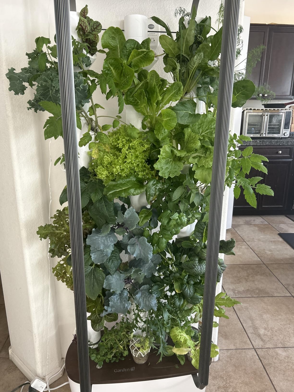 Gardyn Home 4 Vertical Hydroponics Growing System Kit - 30 Non-GMO Plants, Herbs, Vegetables - Smart Garden with LED Grow Lights customer photo 2