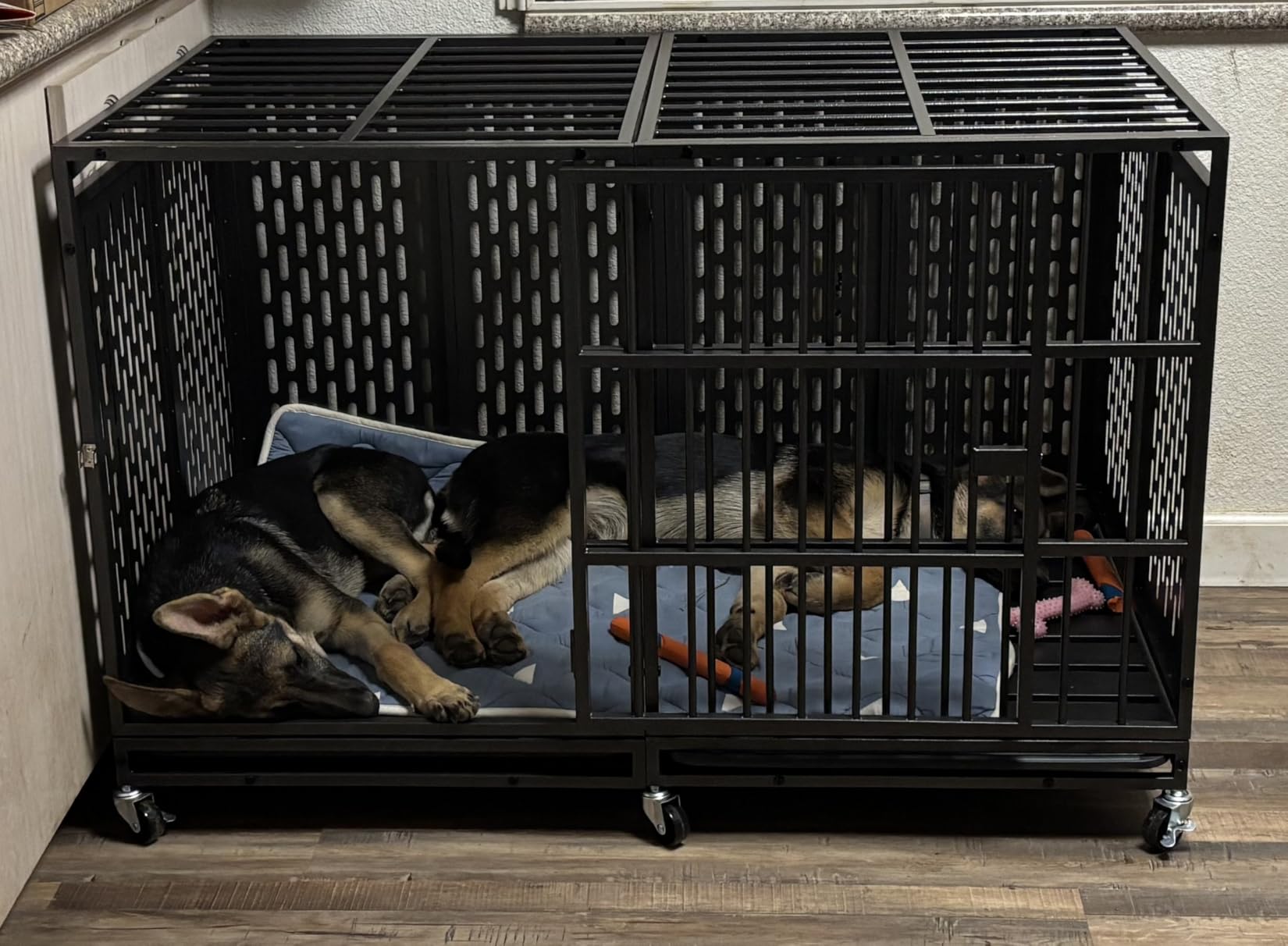 Snuowu 48 Inch Heavy Duty Dog Crate with Wheels, Metal Big Dog Cage for Large and Medium Dogs, Extra Large XL XXL Indestructible Dog Crate with Removable Tray. customer photo 2