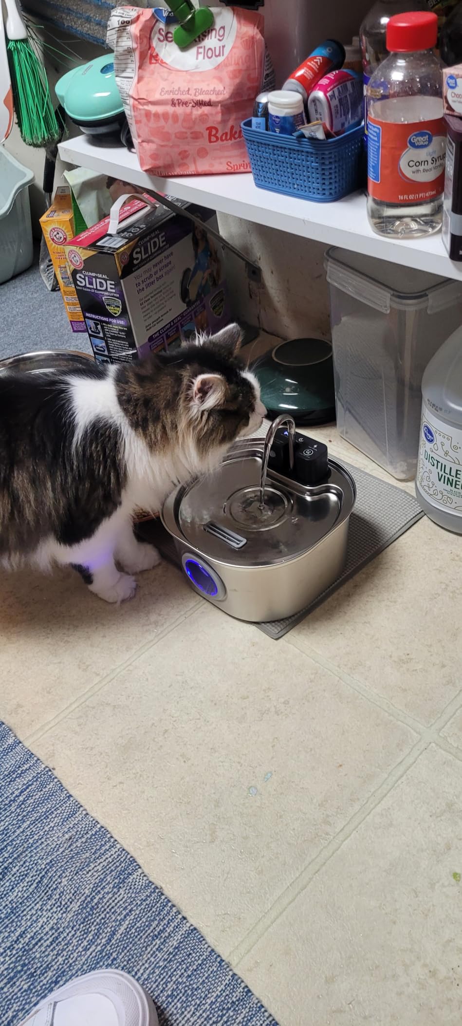 Voluas Stainless Steel Cat Water Fountain: 108oz/3.2L Wireless Cat Fountain Battery Operated for Drinking Indoor, Automatic Pet Water Dispenser Bowl with Ultra Quiet Pump, Easy Clean BPA-Free, 1Filter customer photo 1
