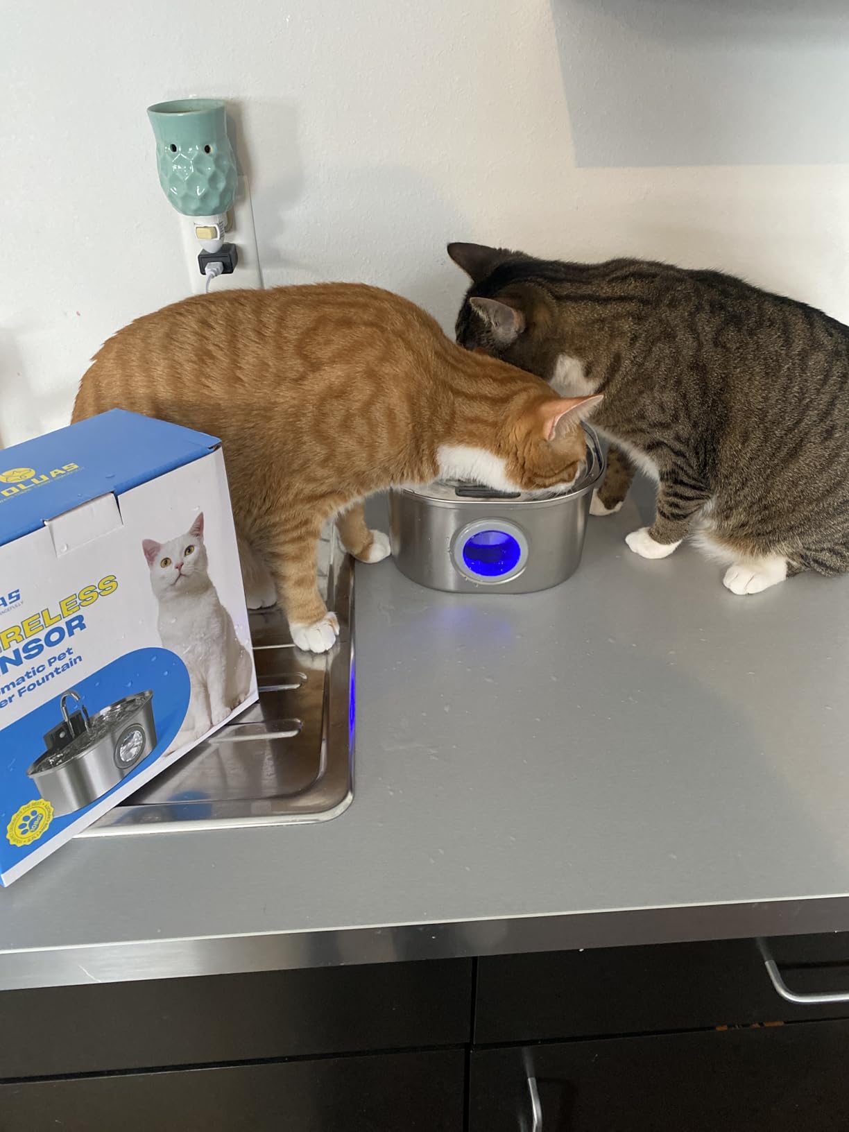 Voluas Stainless Steel Cat Water Fountain: 108oz/3.2L Wireless Cat Fountain Battery Operated for Drinking Indoor, Automatic Pet Water Dispenser Bowl with Ultra Quiet Pump, Easy Clean BPA-Free, 1Filter customer photo 2