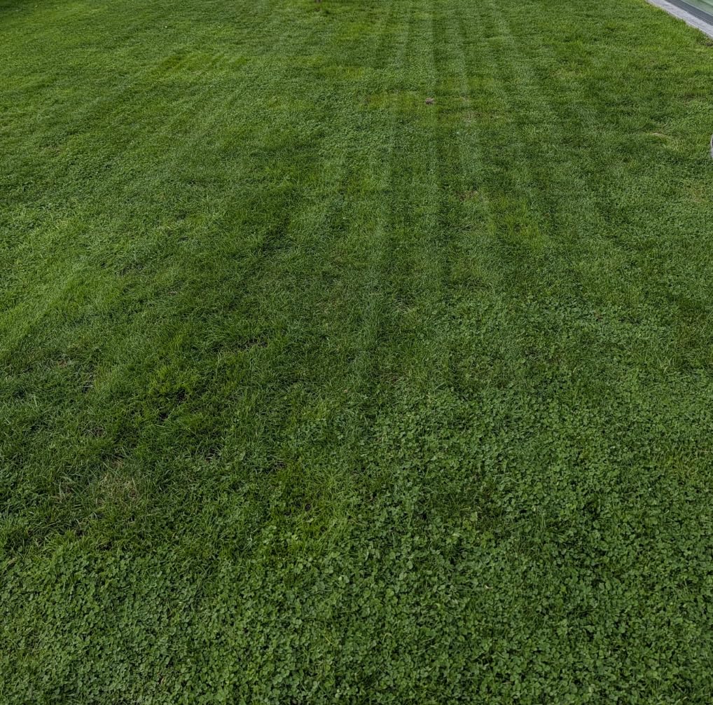 MOVA LiDAX Ultra 2000 Robot Lawn Mower with 4G for 0.5 Acre, No Wire No RTK+360 Degree 3D LiDAR+AI Vision Auto Mapping, Zero-Edge Cutting, Cut Height 1.2