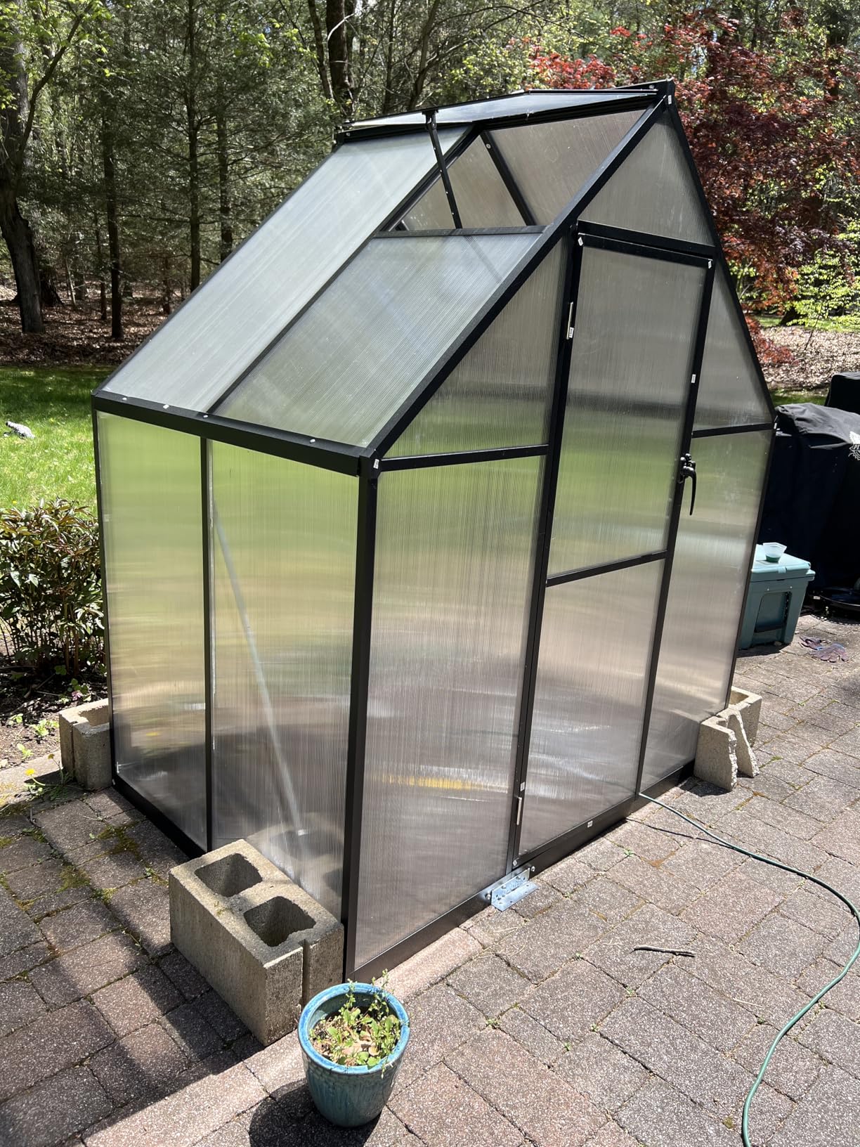 6X8 FT Polycarbonate Greenhouse with Electronic Hygrometer, Walk in Green House for Outside Heavy Duty Greenhouses with Aluminum Frame for Garden Patio Backyard Flower Planting customer photo 1