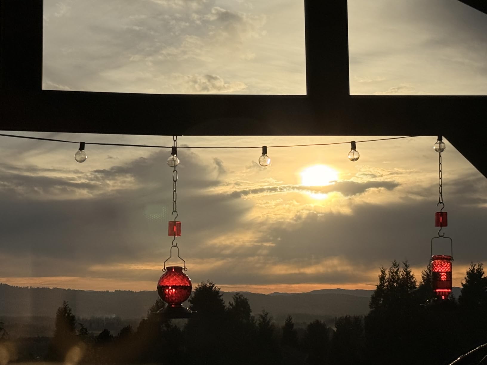 25 OZ Glass Hummingbird Feeder for Outdoors Hanging, Humming Bird Nectar Feeder with Ant Moat, 4 Bee-Proof Feeding Ports, 360 Degree Perch, Leak-Proof, Gifts for Women Mom, Red customer photo 1