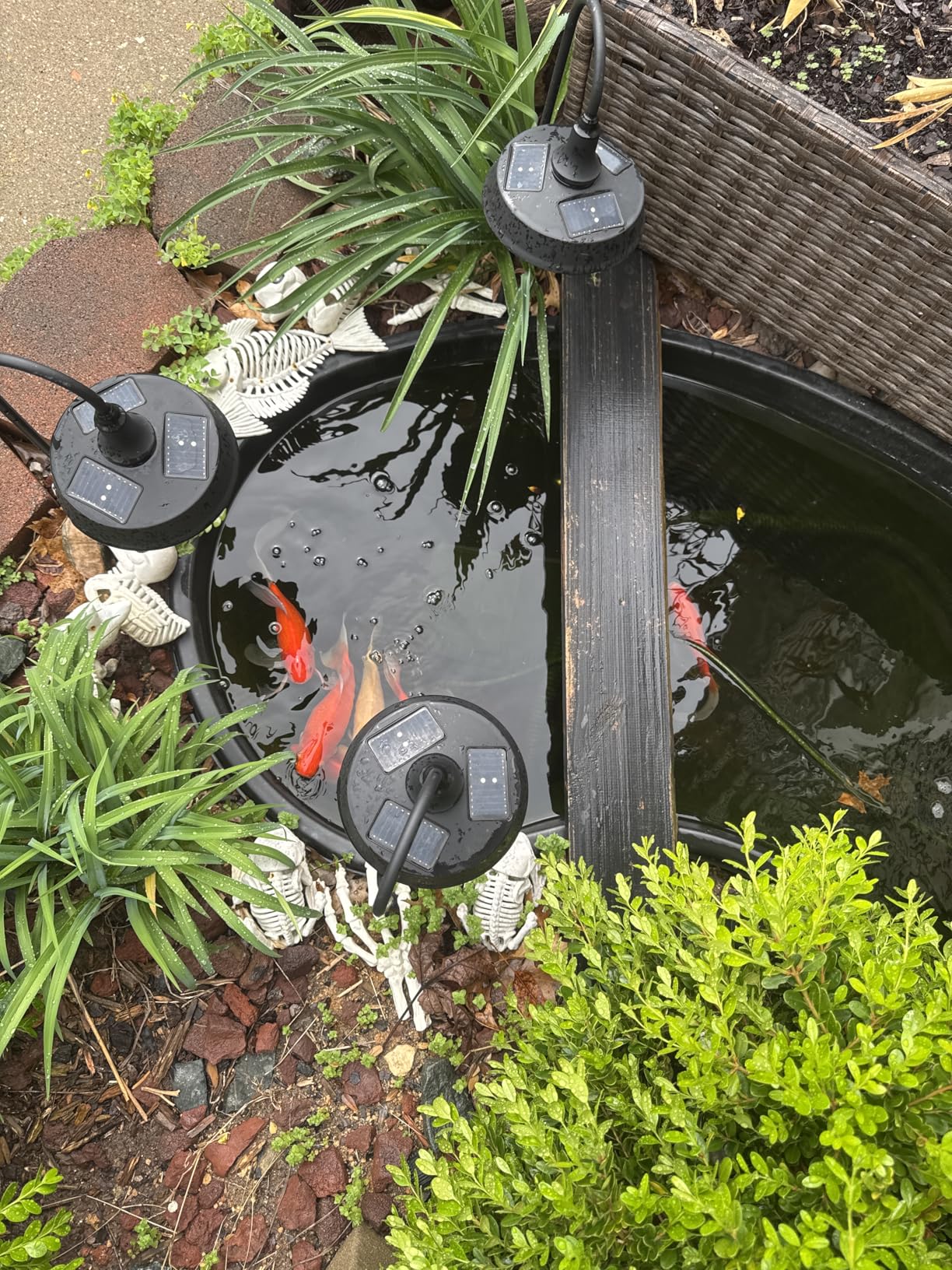 Pond Filter Fountain Kit with Powerful 18W UV Light for Koi Pond Algae Control, 660 GPH 42W High-Performance Pump Build in for 1500 Gallon Pond, 3 Water Patterns Decoration for Your Pond Landscape customer photo 1
