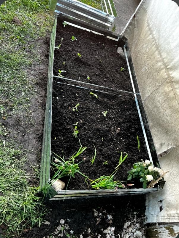 Galvanized Raised Garden Beds 2-Pack (8x4x1ft Each) - Flat Panel Design with 4 Support Bars, Heavy-Duty Metal Planter Box for Vegetables, Herbs, Flowers, Budget-Friendly Steel Garden Kit customer photo 1