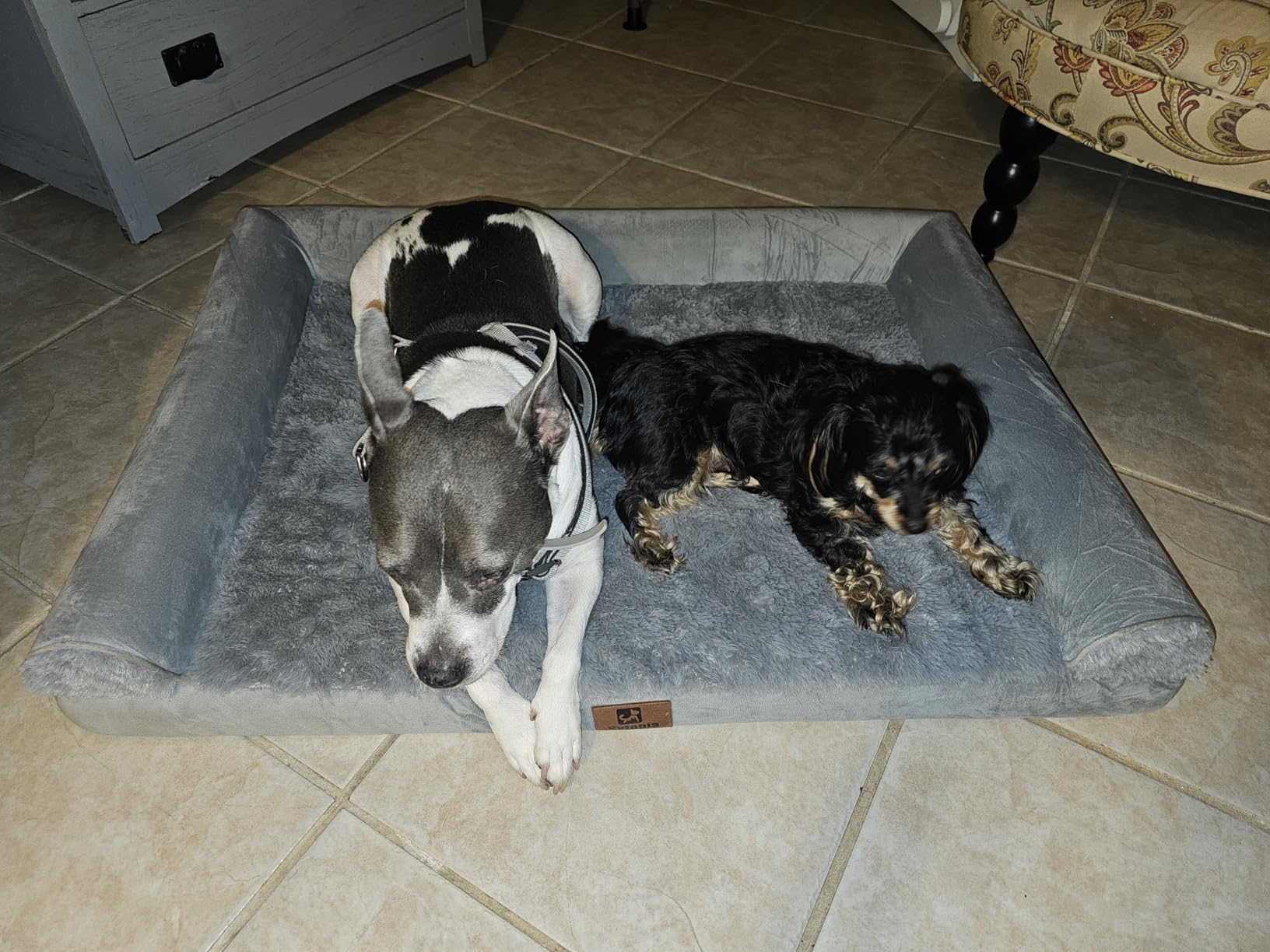 Sytopia Indestructible Dog Beds for Large Dogs Orthopedic, 42 Inch Chew Proof Pet Beds Extra Large, Washable Removable Cover and Anti-Slip Bottom - X-Large customer photo 2