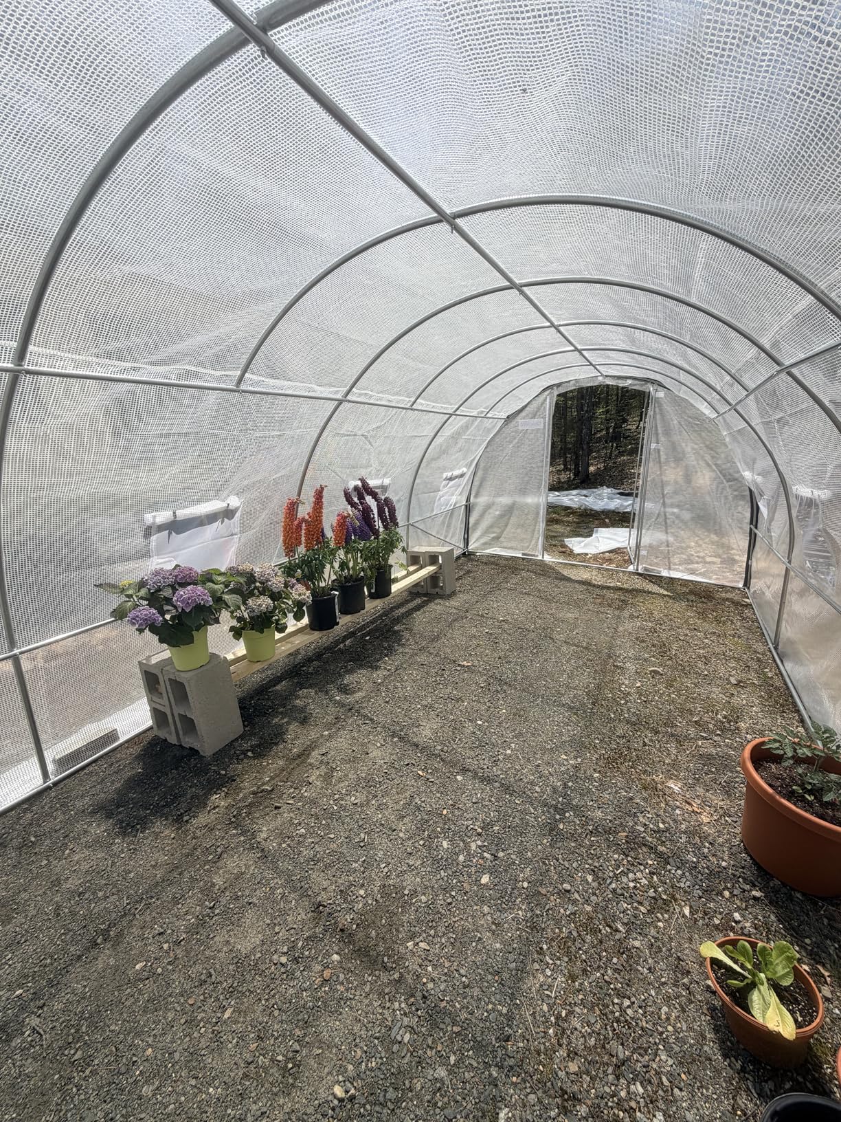 Quictent 25x10x6.6 FT Premium Greenhouse for Outdoors with 2 Door Frames, Reinforced Top Structure & Cover, Large Heavy Duty Walk-in Tunnel Hoop Green House for Garden Backyard Flower Winter, Green customer photo 1