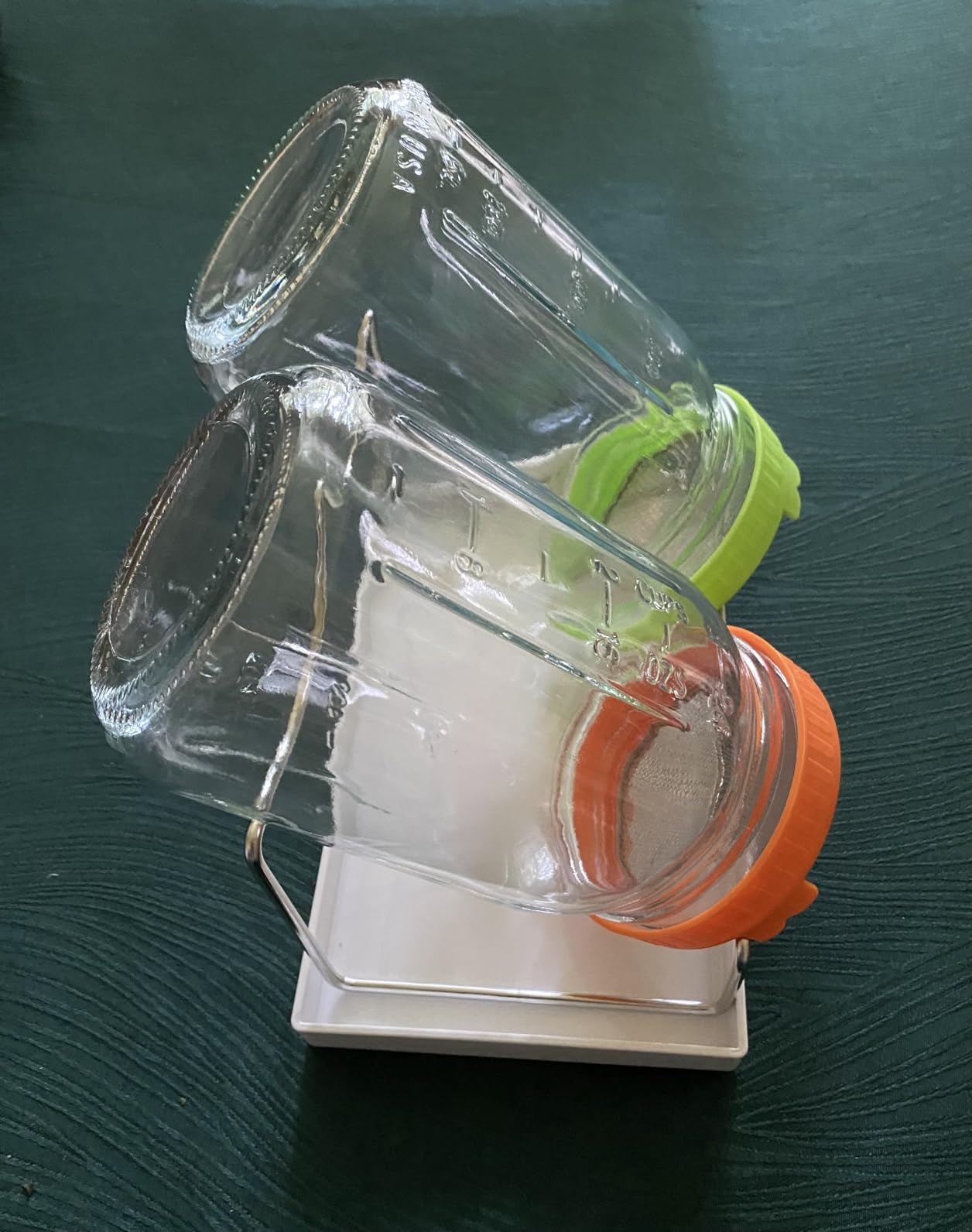 Seed Sprouting Jar Kit with Mung Beans 2.9oz, 2 Large Wide Mouth Mason Jars with Sprouting Lids, Blackout Sleeves, Drain Tray, Sprouts Growing Kit for Growing Bean, Alfalfa, Radish Sprout Seeds customer photo 1