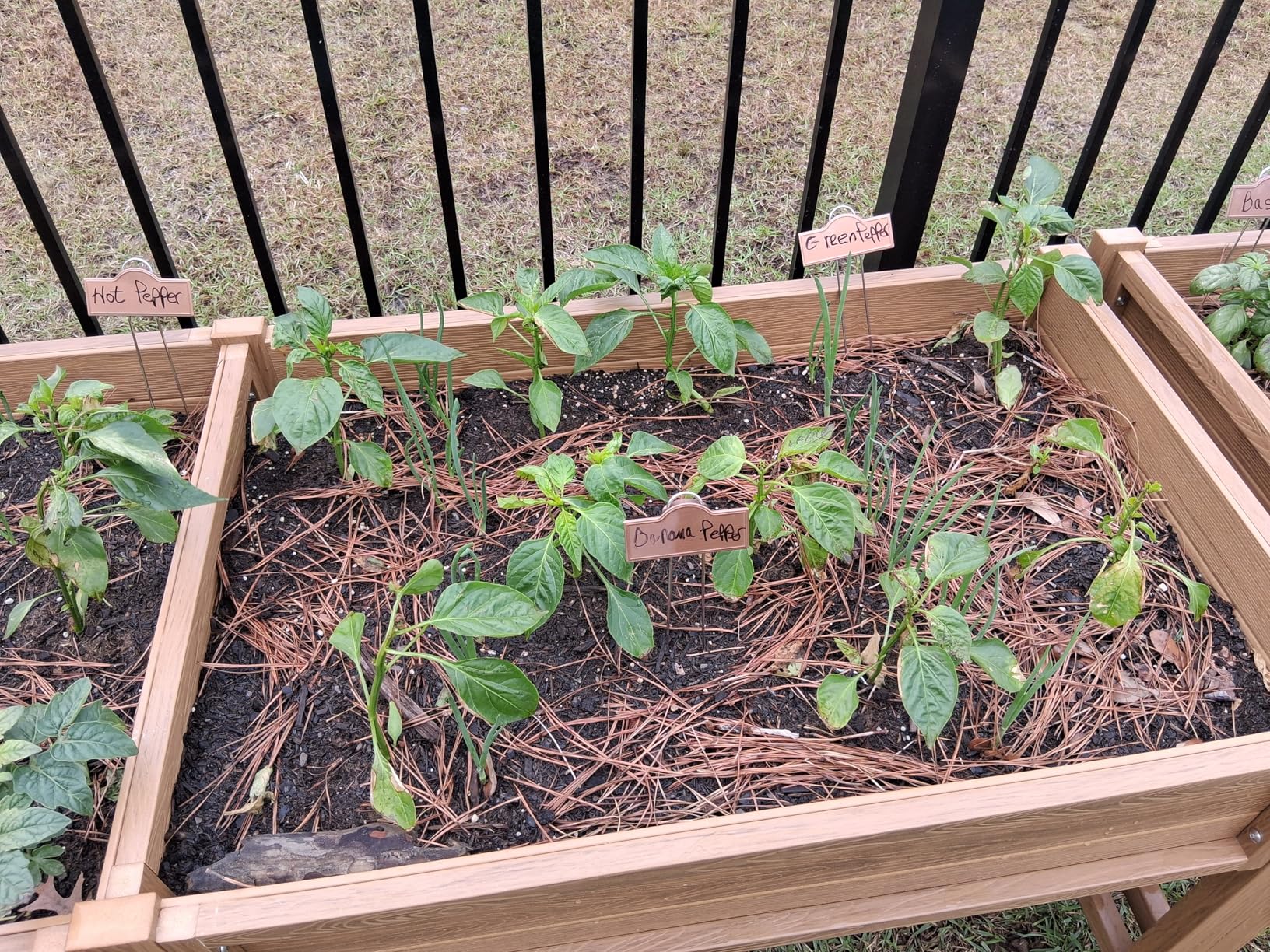 YEFU Raised Garden Bed with Legs: 48x24x30 Inch Waist-High Elevated Planter Box for Vegetables/Herbs/Flowers - UV-Resistant HIPS Material & Drainage Holes - 385lbs Capacity customer photo 1