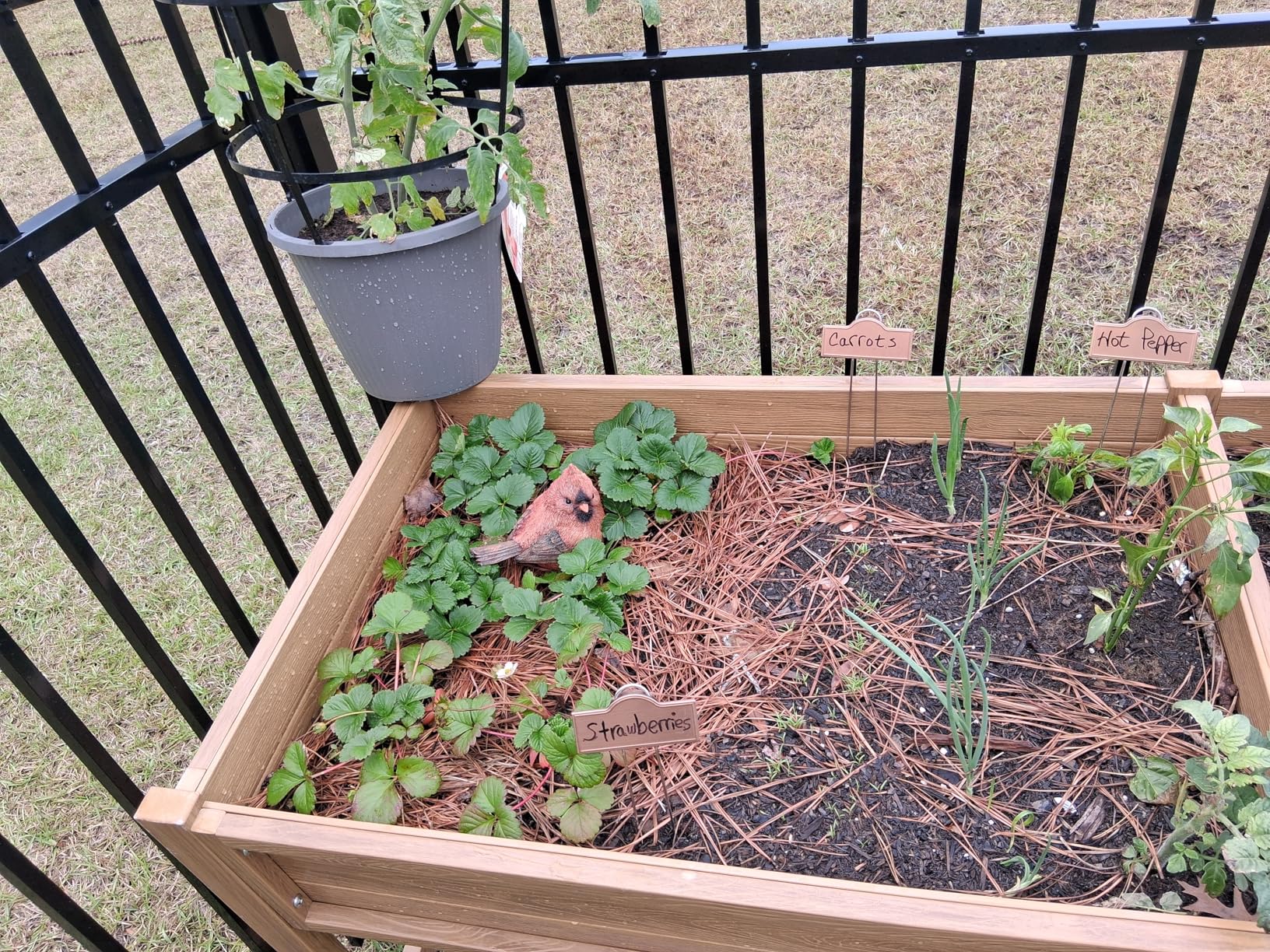 YEFU Raised Garden Bed with Legs: 48x24x30 Inch Waist-High Elevated Planter Box for Vegetables/Herbs/Flowers - UV-Resistant HIPS Material & Drainage Holes - 385lbs Capacity customer photo 2