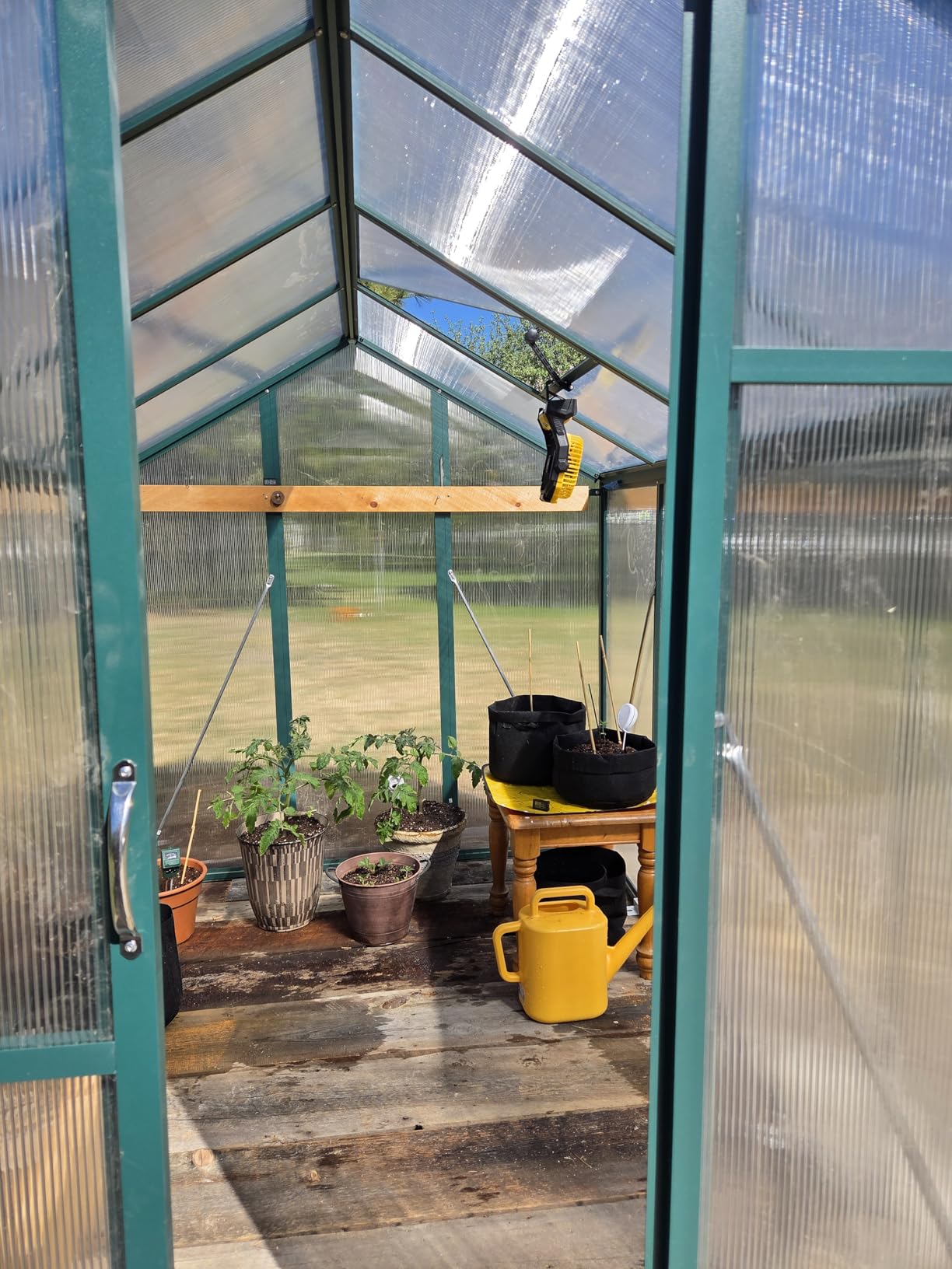 GarveeHome 6X8 FT Greenhouse, Walk-in Greenhouse Kit with Aluminum Frame, Polycarbonate Panels, Adjustable Roof Vent, Sliding Door, Secure Lock for Outside Garden, Patio, Backyard customer photo 2