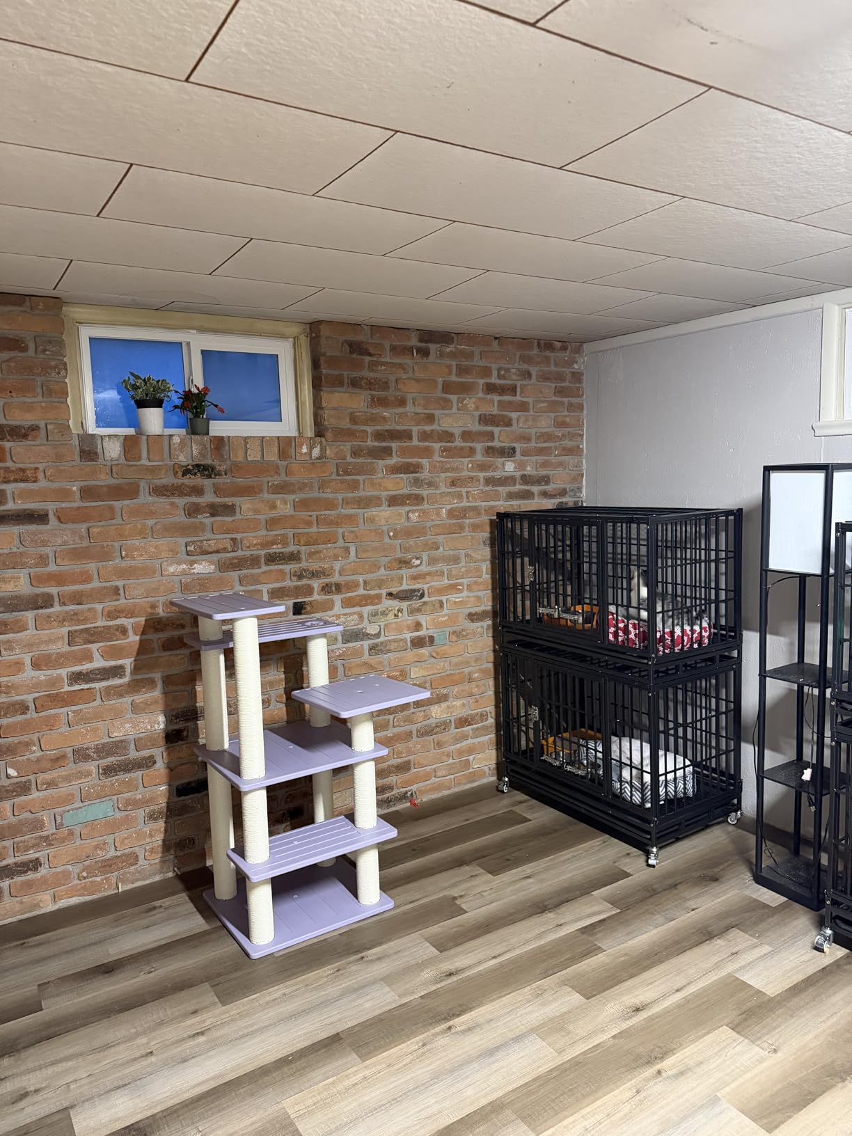 Homey Pet Heavy Duty Dog Crates for Large Dogs, 47 Inch Stackable Large Dog Crate Cage with 4 Wheels, 2 Removable Trays and Grids, 2 Bowls, Multi Locks Strong & Solid Escape Proof Dogs Kennel Indoor customer photo 2