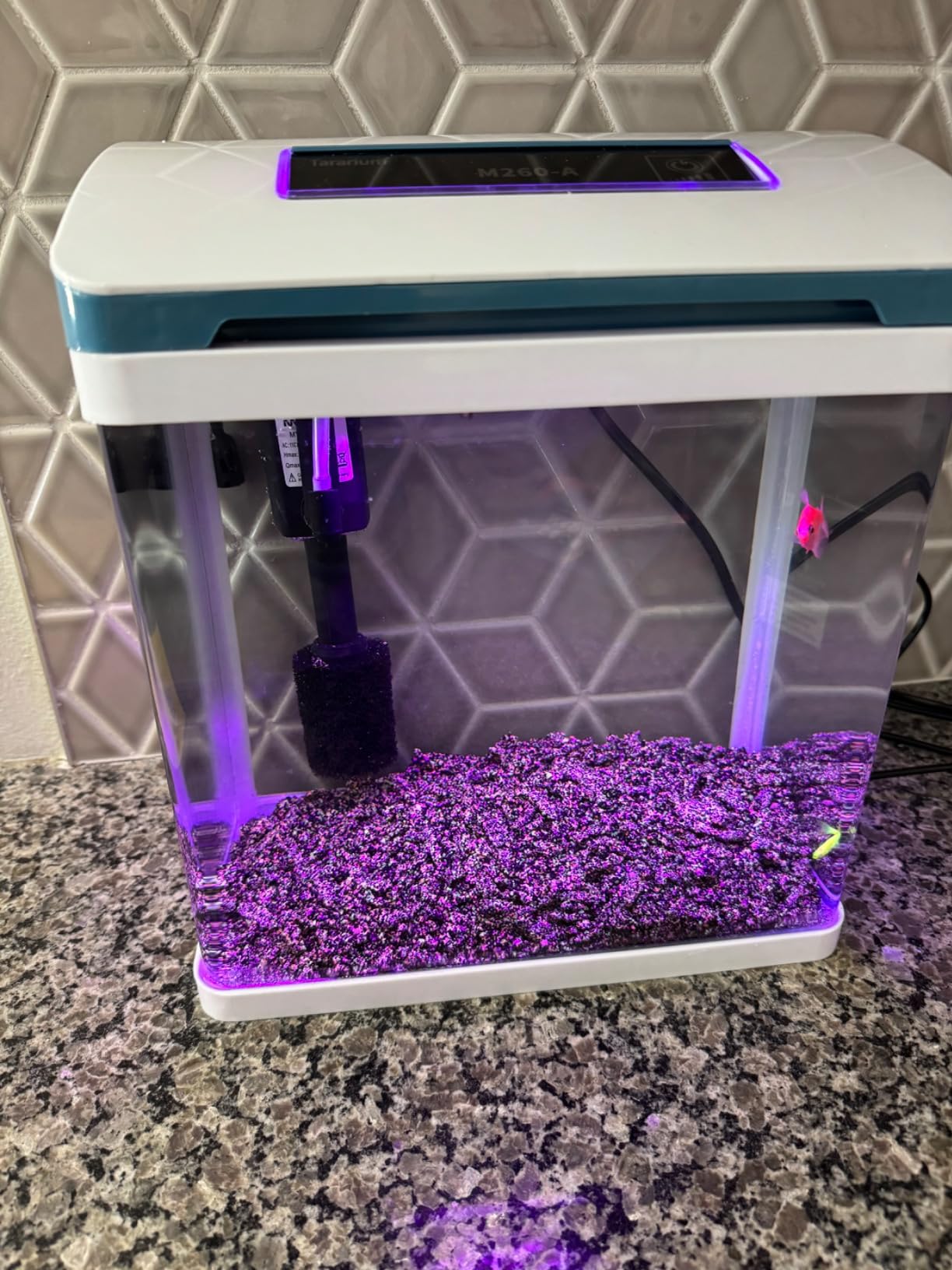 20 Gallon Fish Tank Smart Aquarium Kit, Glass Small Aquarium Starter Kits Self Cleaning with 3 Types of LED Lights and Filter Water Pump, Water Temperature Detection Ultra Quiet Gift for Kid customer photo 1