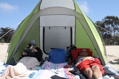 Coleman Beach Shade Canopy Tent Lightweight & Portable Beach Shade Sets Up in 5 Minutes UPF 50+ Sun Protection Includes Sand Bags & Stakes to Withstand Wind Great for Park Yard Picnics customer photo 2