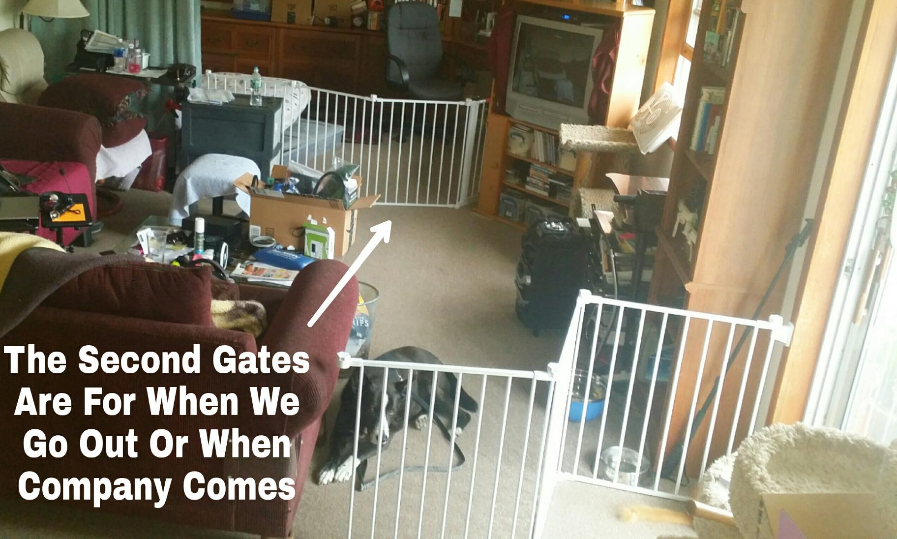 Regalo 76 Inch Super Wide Configurable Baby Gate, Includes 4 Pack of Wall Mounts and Hardware, White customer photo 2