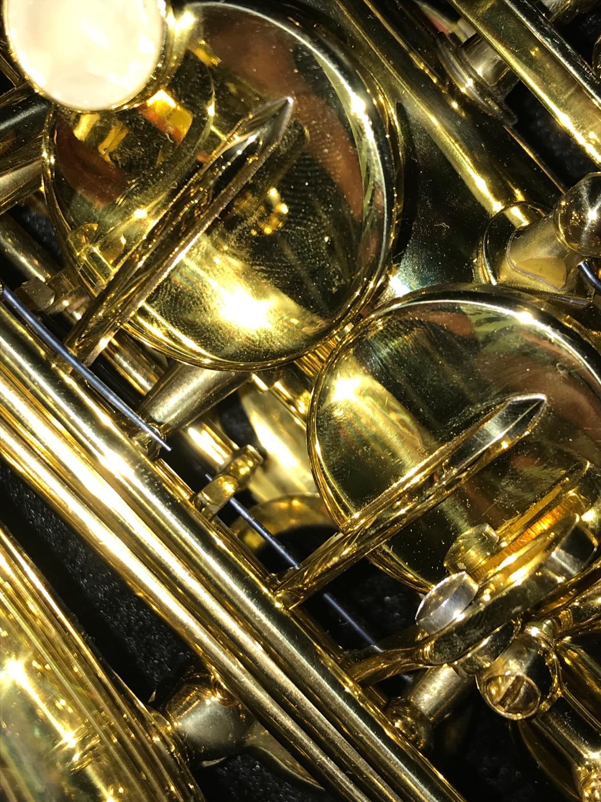 Prelude Student Model AS711 Alto Saxophone by Conn-Selmer customer photo 1