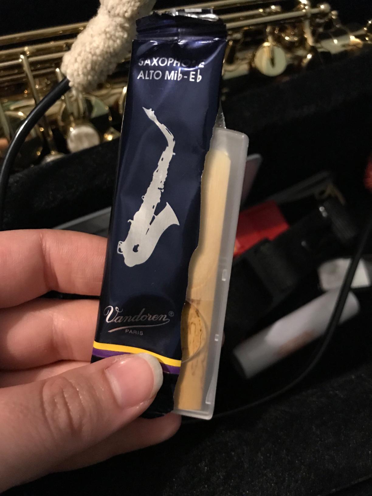 Prelude Student Model AS711 Alto Saxophone by Conn-Selmer customer photo 2