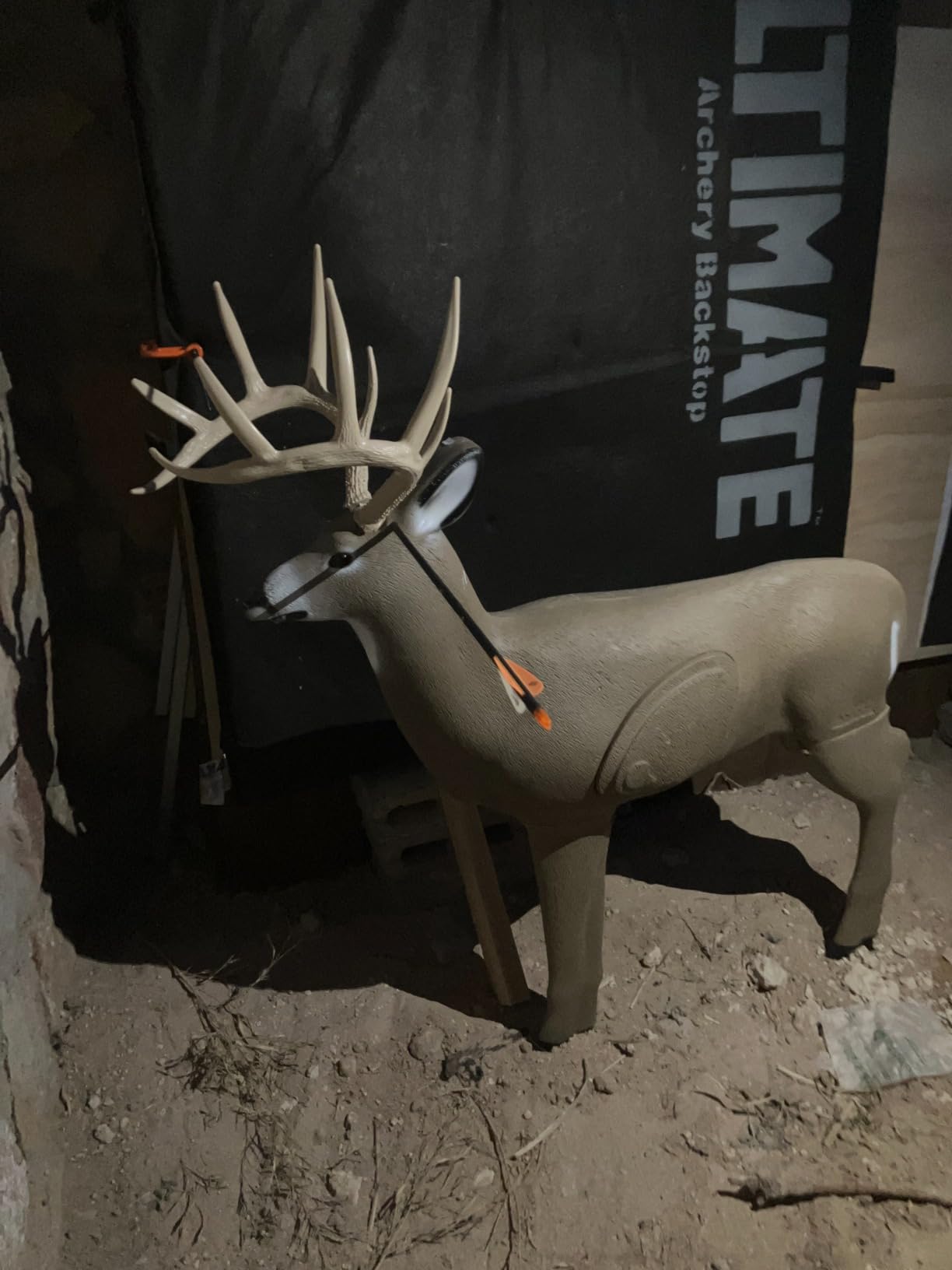 Shooter Buck 3D Archery Target customer photo 2