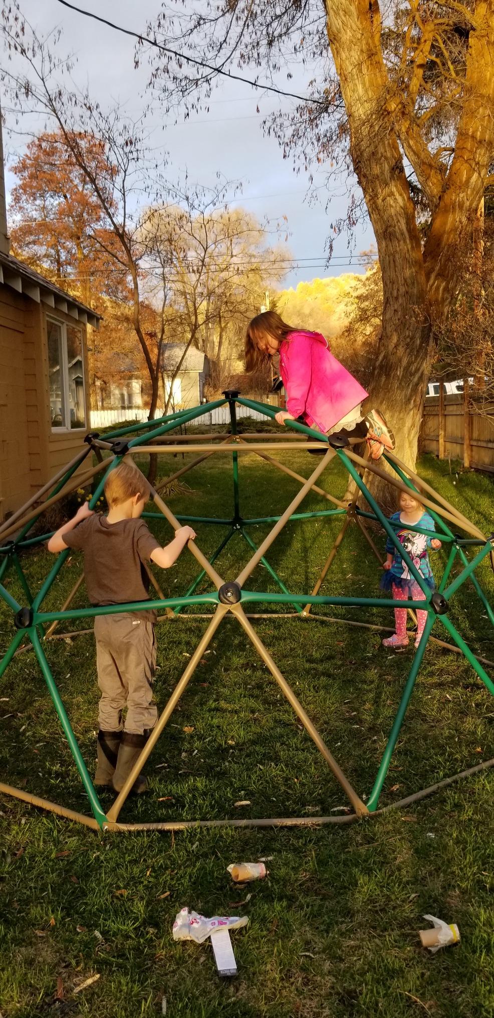 Lifetime Geometric Dome Climber Play Center - Climbing Dome Jungle Gym customer photo 1