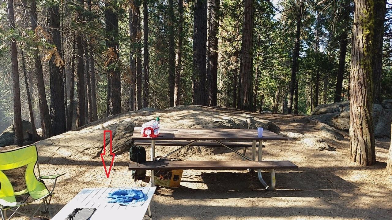 Coleman Outdoor Folding Table, Sturdy Aluminum Camping Table with Snap-Together Design, Seats 4 & Carry Bag Included, Great for Camping, Tailgating, Grilling, Hunting, Outdoor Dining & More customer photo 1