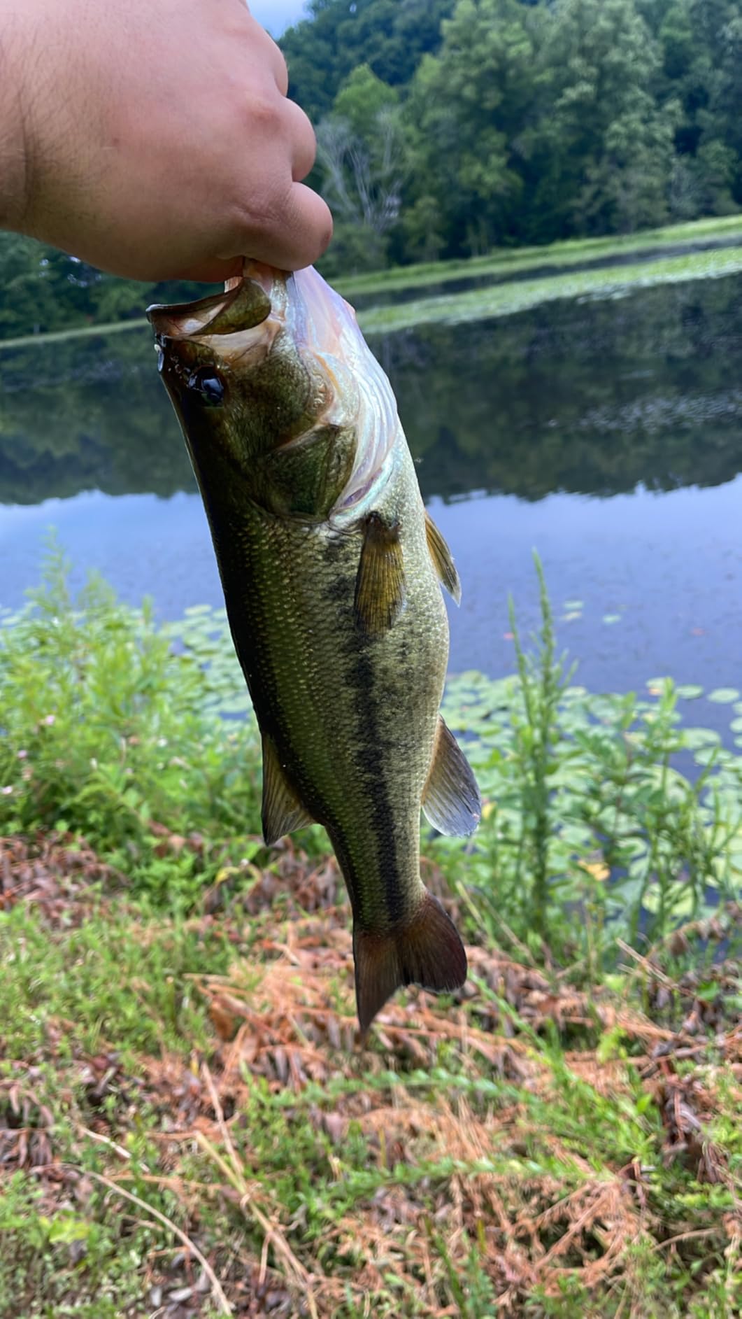 Ugly Stik GX2 Spinning Reel and Fishing Rod Combo customer photo 1