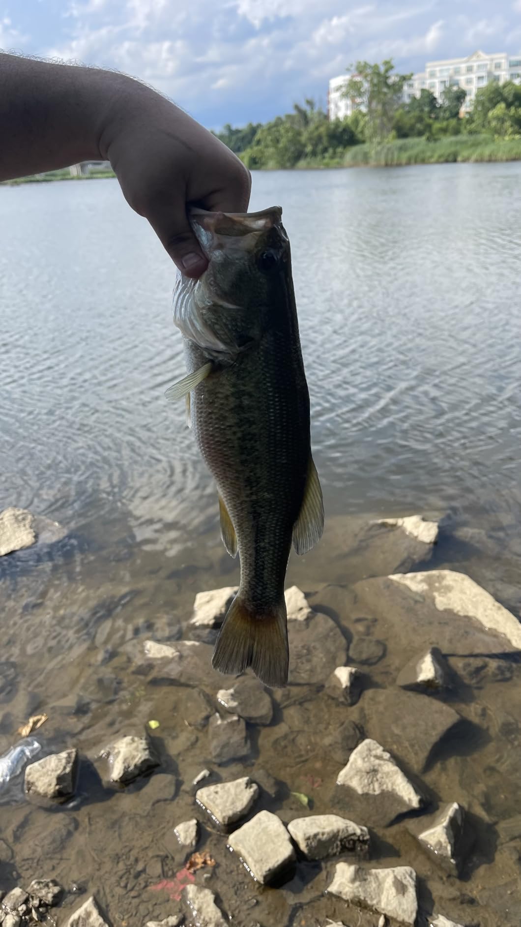 Ugly Stik GX2 Spinning Reel and Fishing Rod Combo customer photo 2