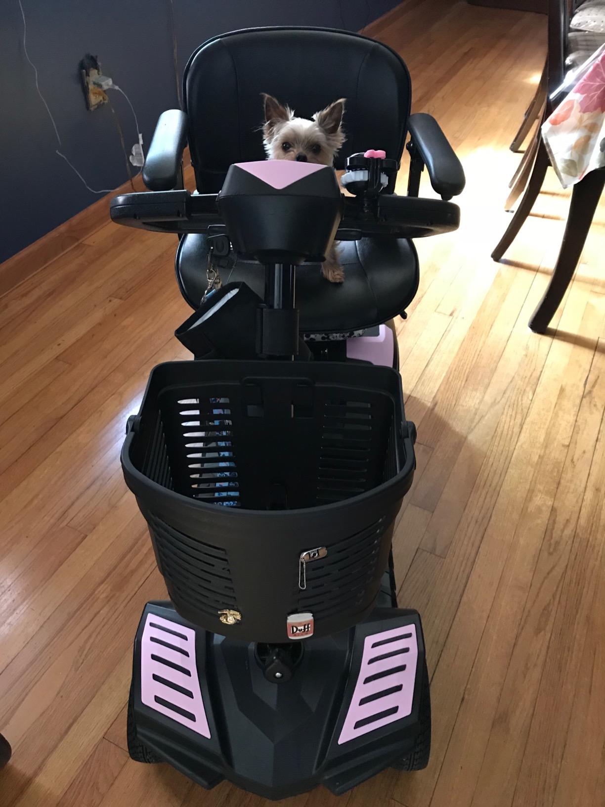 Drive Medical Scout Compact Travel Power Scooter, 4 Wheel customer photo 1