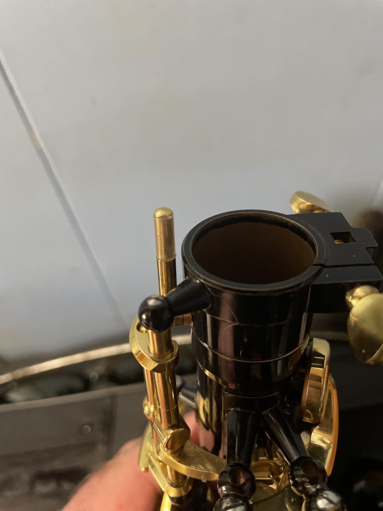Glory Gold Laquer E Flat Alto Saxophone with 11 Reeds, 8 Pads Cushions, Case, Care Kit customer photo 1