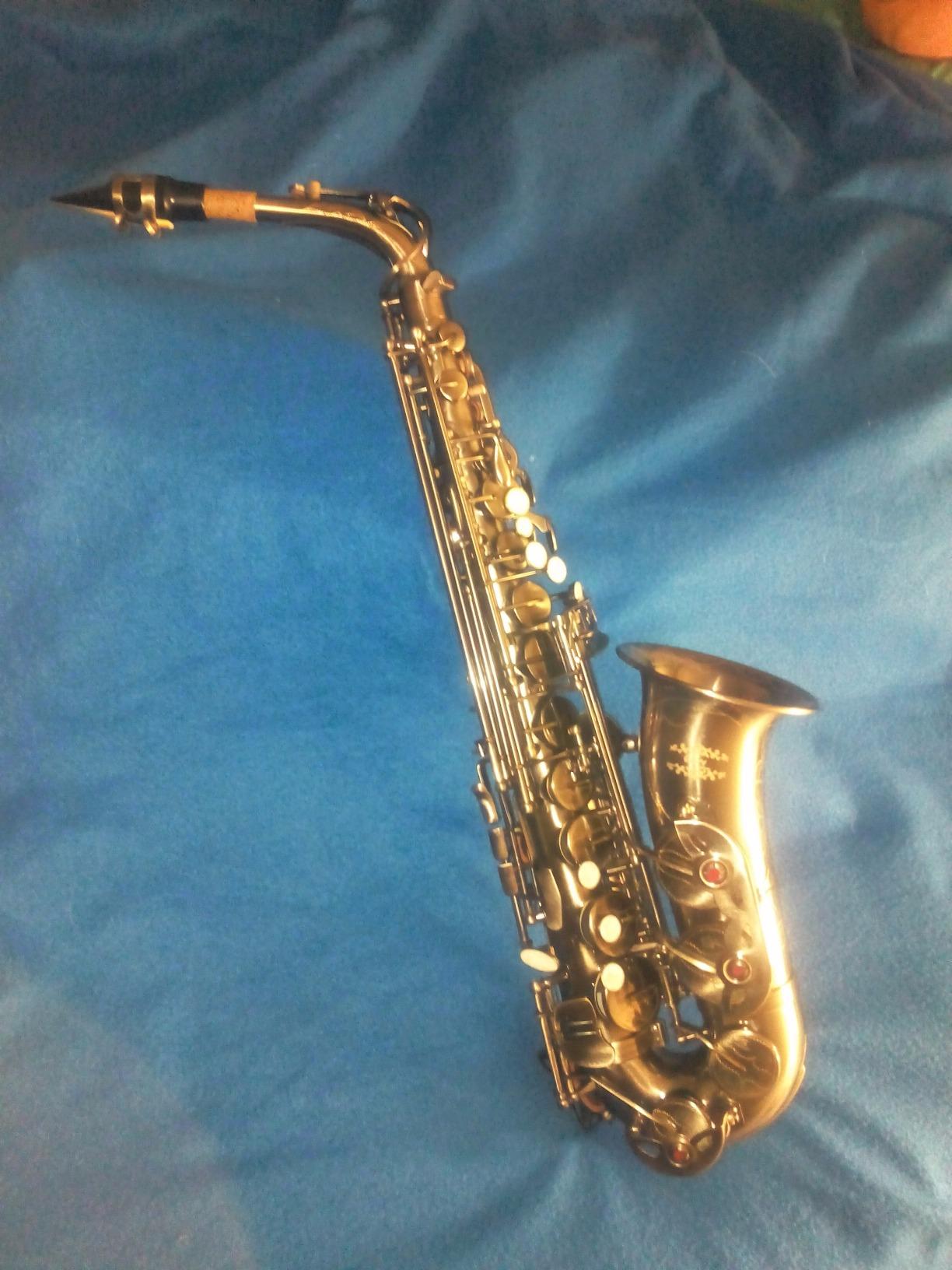 Glory Gold Laquer E Flat Alto Saxophone with 11 Reeds, 8 Pads Cushions, Case, Care Kit customer photo 2