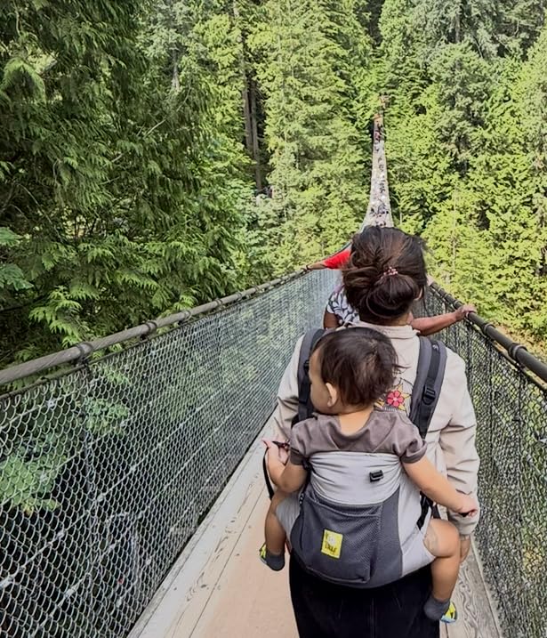 LILLEbaby 3-in-1 Ergonomic CarryOn Airflow Toddler Carrier with Lumbar Support & Breathable Mesh (25-60 lbs), Supportive & Comfortable, Multi-Position Carrying for Hiking & Travel (Charcoal/Silver) customer photo 1