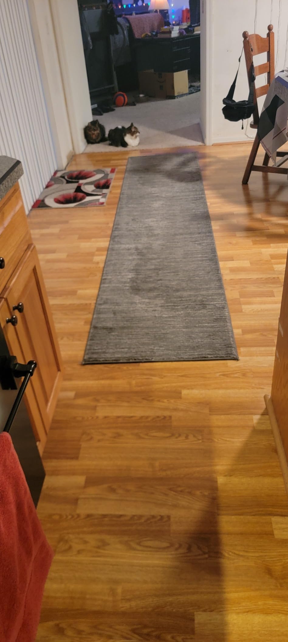 SAFAVIEH Area Rug 9x12 - Vision Collection - Large - Light Brown, Modern Ombre Design, Non-Shedding & Easy to Clean, Ideal for Living Room, Bedroom, Dining Space (VSN606C) customer photo 1