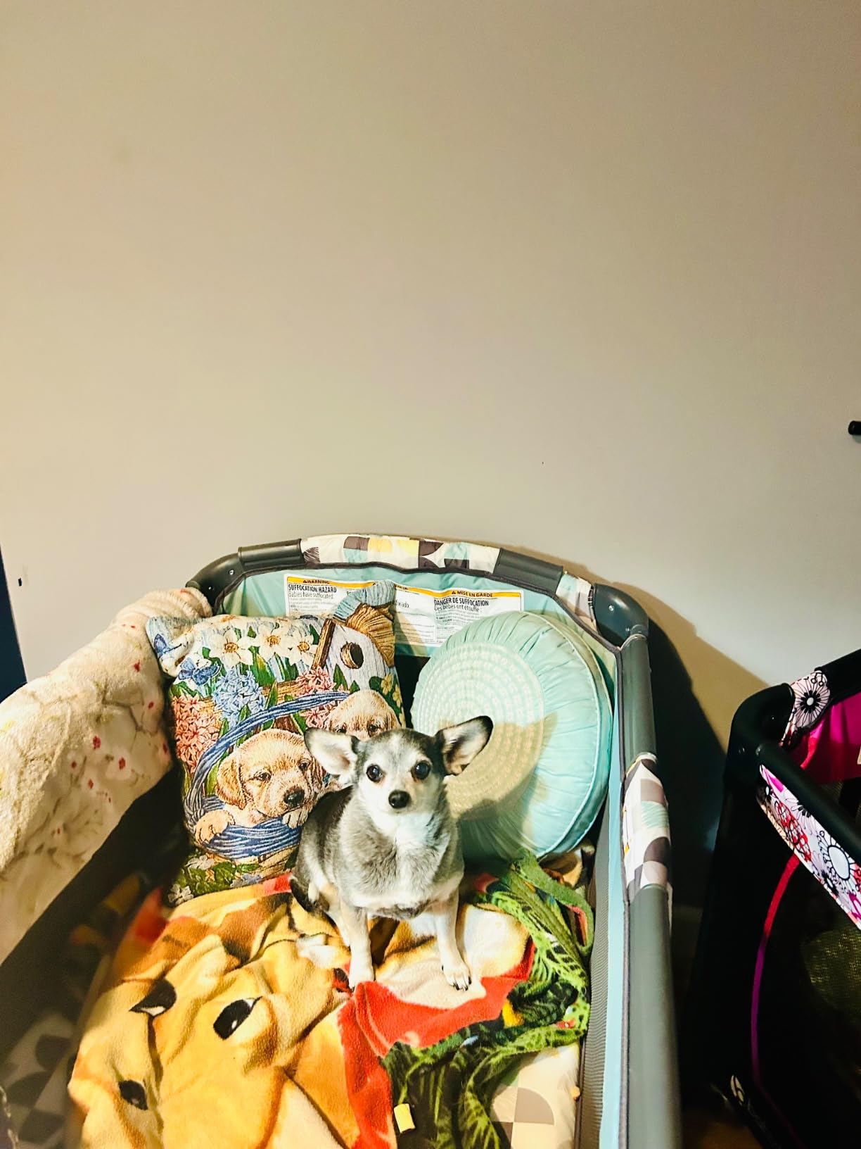 Baby Trend Trend-E Nursery Center Playard & Bassinet, Doodle Dots customer photo 2