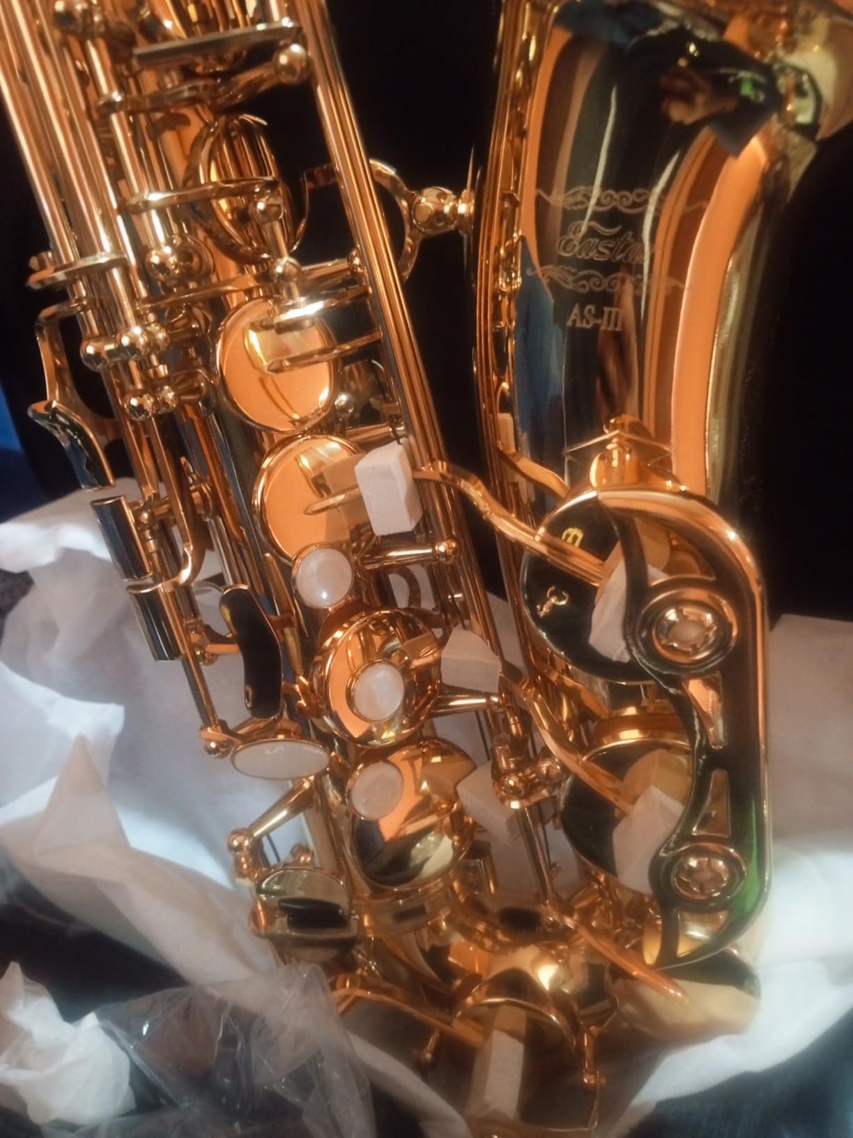 Eastar Student Alto Saxophone E Flat for Beginner Sax Full Kit with Carrying Case, Mouthpiece, Straps, Reeds, Stand, Golden Lacquer, AS-II customer photo 1