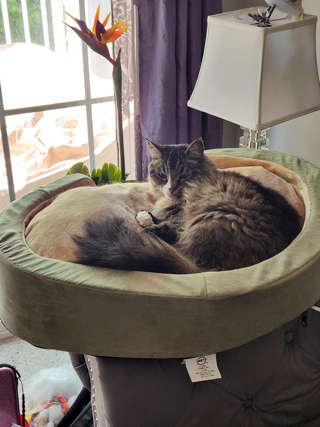 K&H Pet Products Heated Dog Bed Indoor, Thermo-Snuggly Sleeper with Removable Waterproof Heated Pad, Calming Pillow Pet Bed, Machine Washable, Safety Listed - Medium 26 X 20in Sage/Tan customer photo 1
