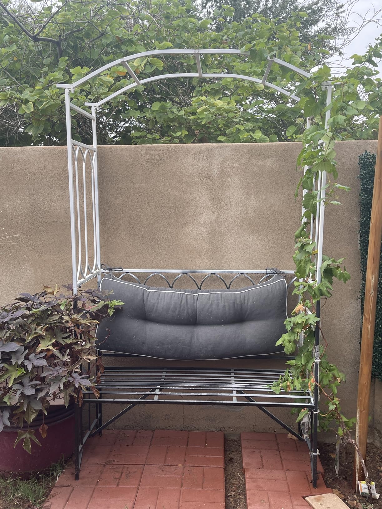 Outsunny Metal Trellis Arbor Arch with Garden Bench Steel 484 lbs. Black | Climbing Plants, Grow Grapes & Vines, Patio Decor, 2-Person Outdoor Decorative Seating customer photo 1