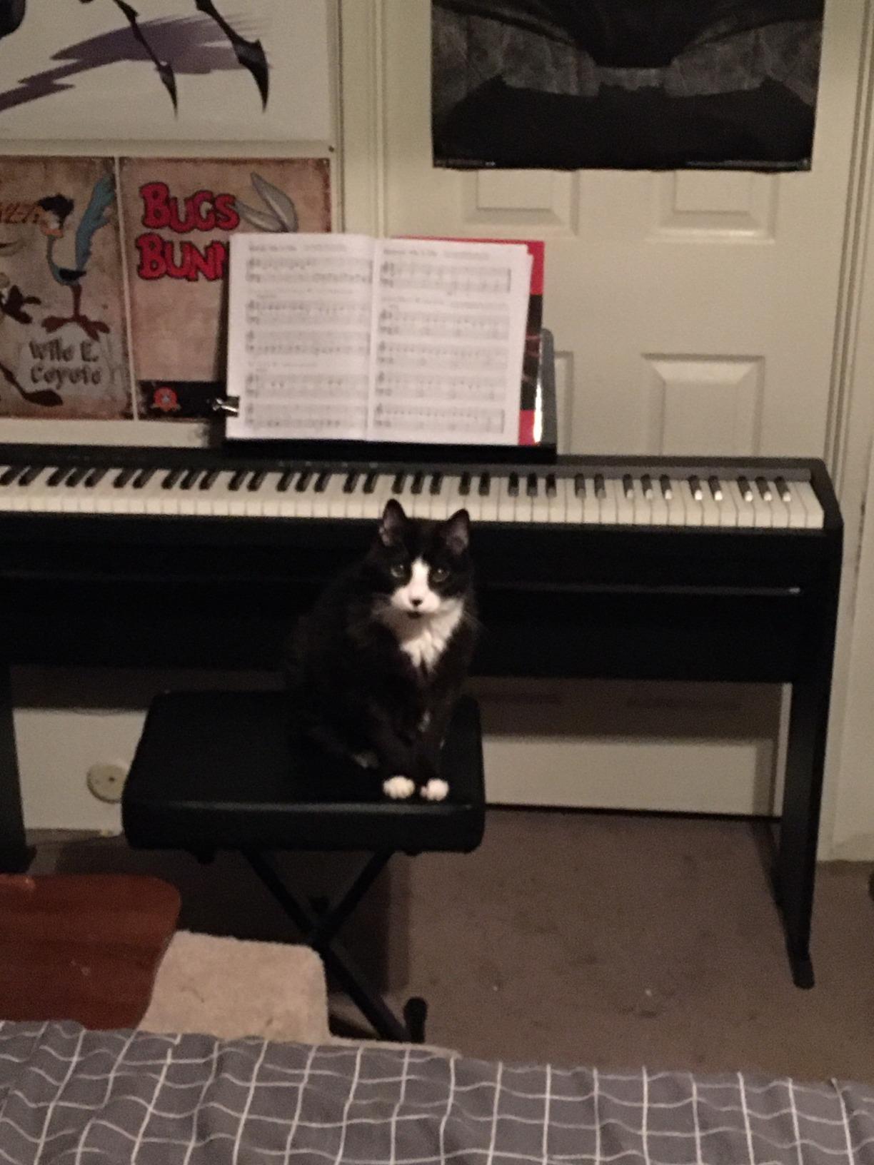 Roland FP-10 Compact 88-Note Digital Piano with SuperNATURAL Piano Tones, Bluetooth & MIDI Connectivity customer photo 2