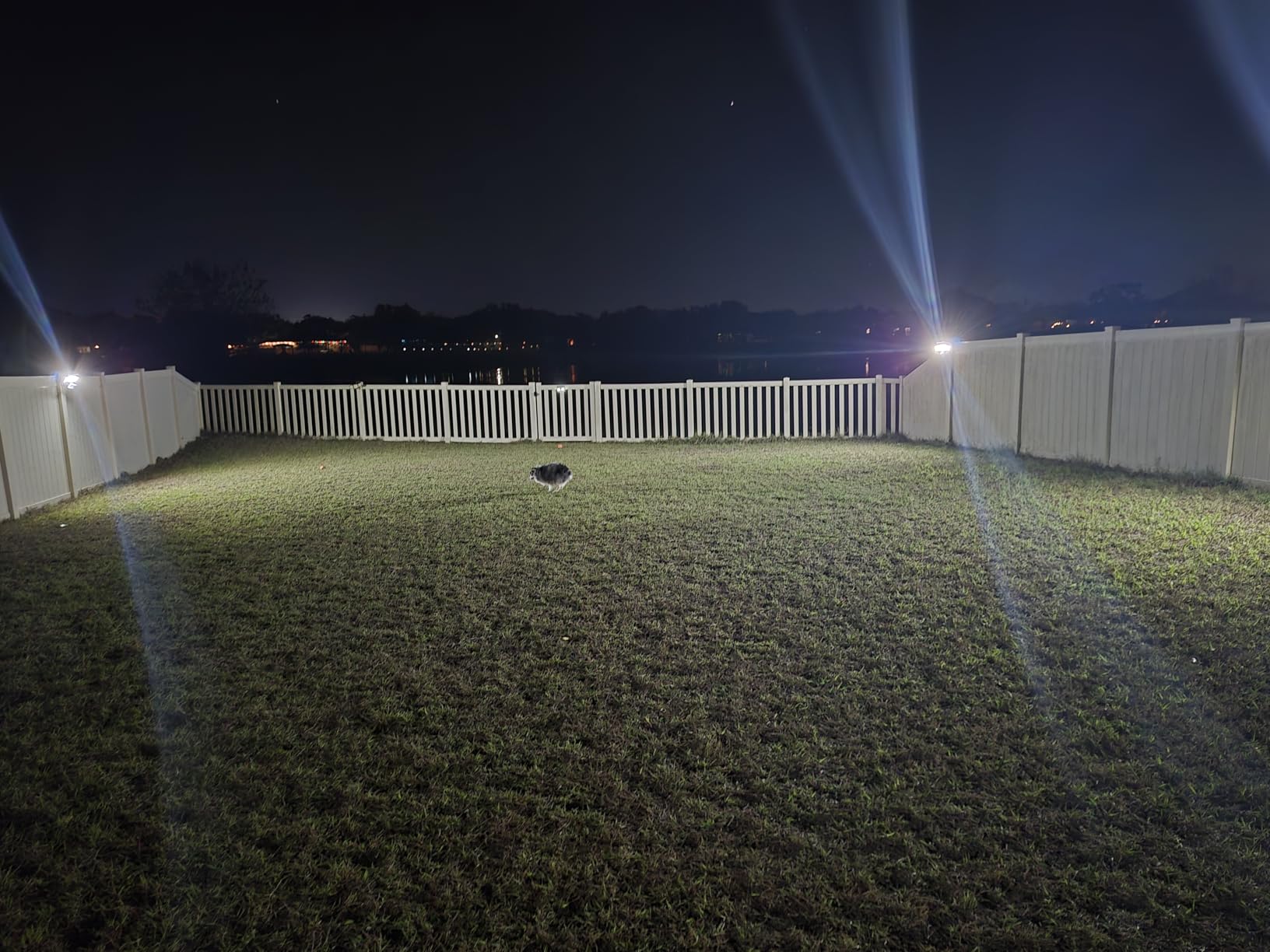 LEPOWER 1600LM LED Solar Security Lights Motion Outdoor, Motion Sensor Light, 5500K White Light, IP65 Waterproof Outdoor Flood Solar Light with 3 Adjustable Head for Yard, Garage customer photo 1