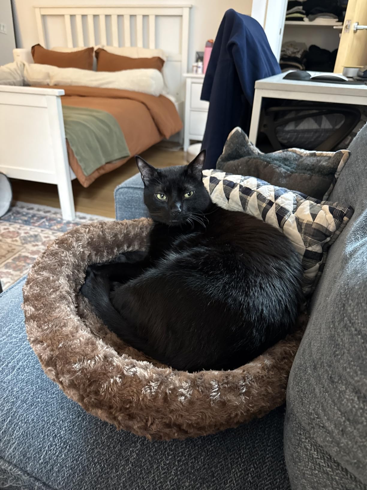 K&H Pet Products Bolster Heated Cat Bed for Indoor Cats, Thermo-Kitty Fashion Splash Orthopedic Foam Heated Pet Bed for Large Cats, Dogs, Waterproof Pet Heater, Safety Listed - Large 16 X 22in Blue customer photo 2