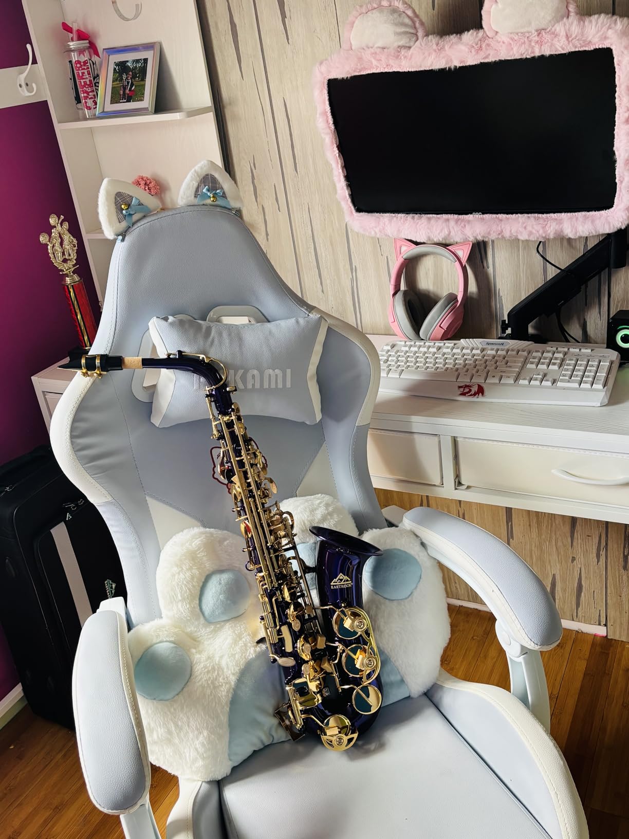 EASTROCK Alto Saxophone Gold E Flat Sax Full Kit for Students Beginner with Carrying Case, Mouthpiece, Mouthpiece Cushion Pads, Cleaning Cloth & Cleaning Rod, White Gloves, Neck Strap customer photo 1