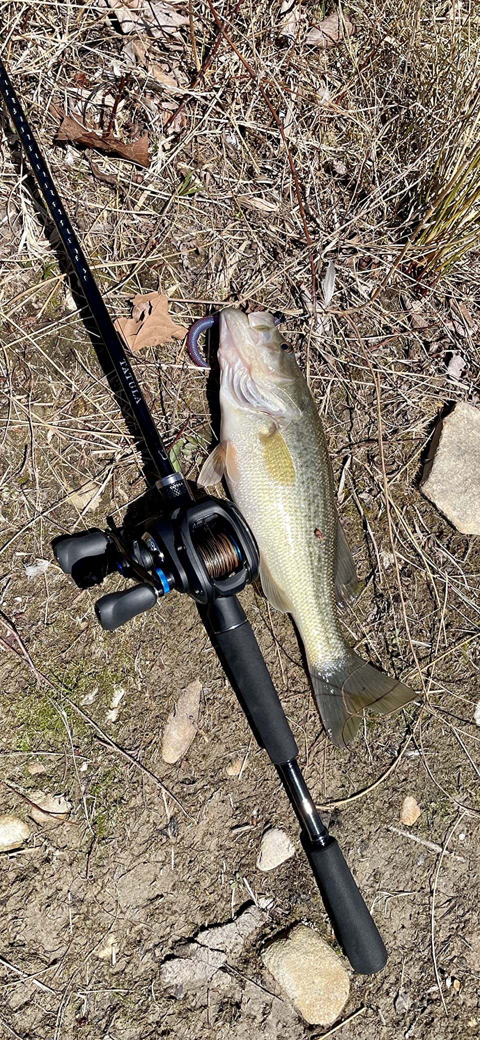 Shimano SLX DC Baitcasting Reel customer photo 2